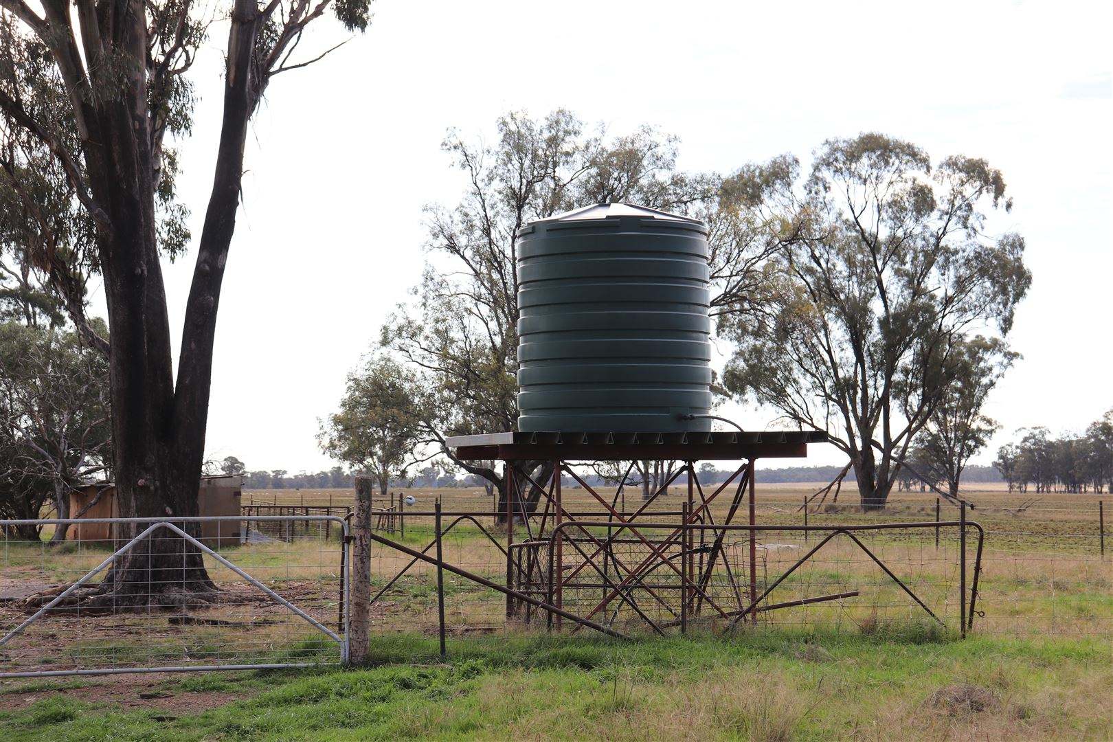 987 Boorr Hill Road, Parkes For Sale by Farmbuy.com - image 31