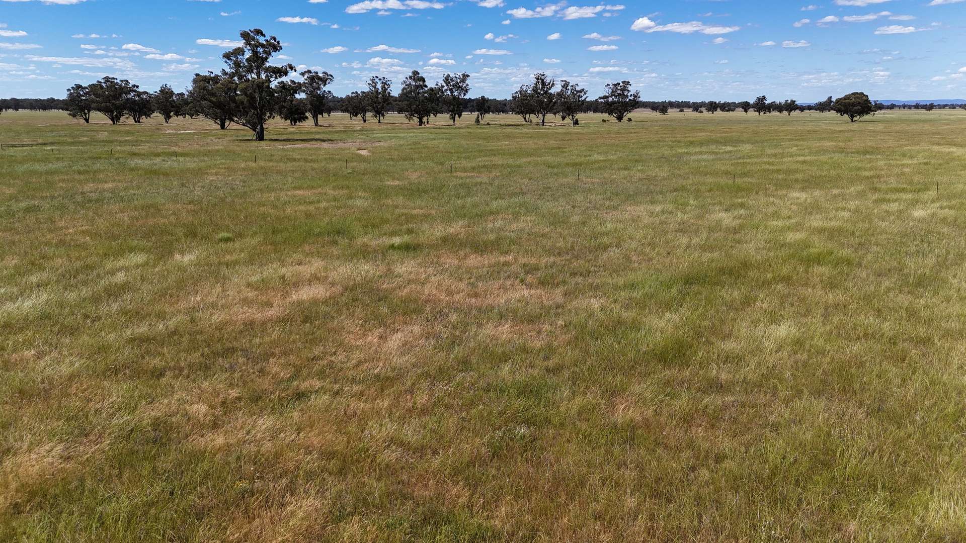 987 Boorr Hill Road, Parkes For Sale by Farmbuy.com - image 28