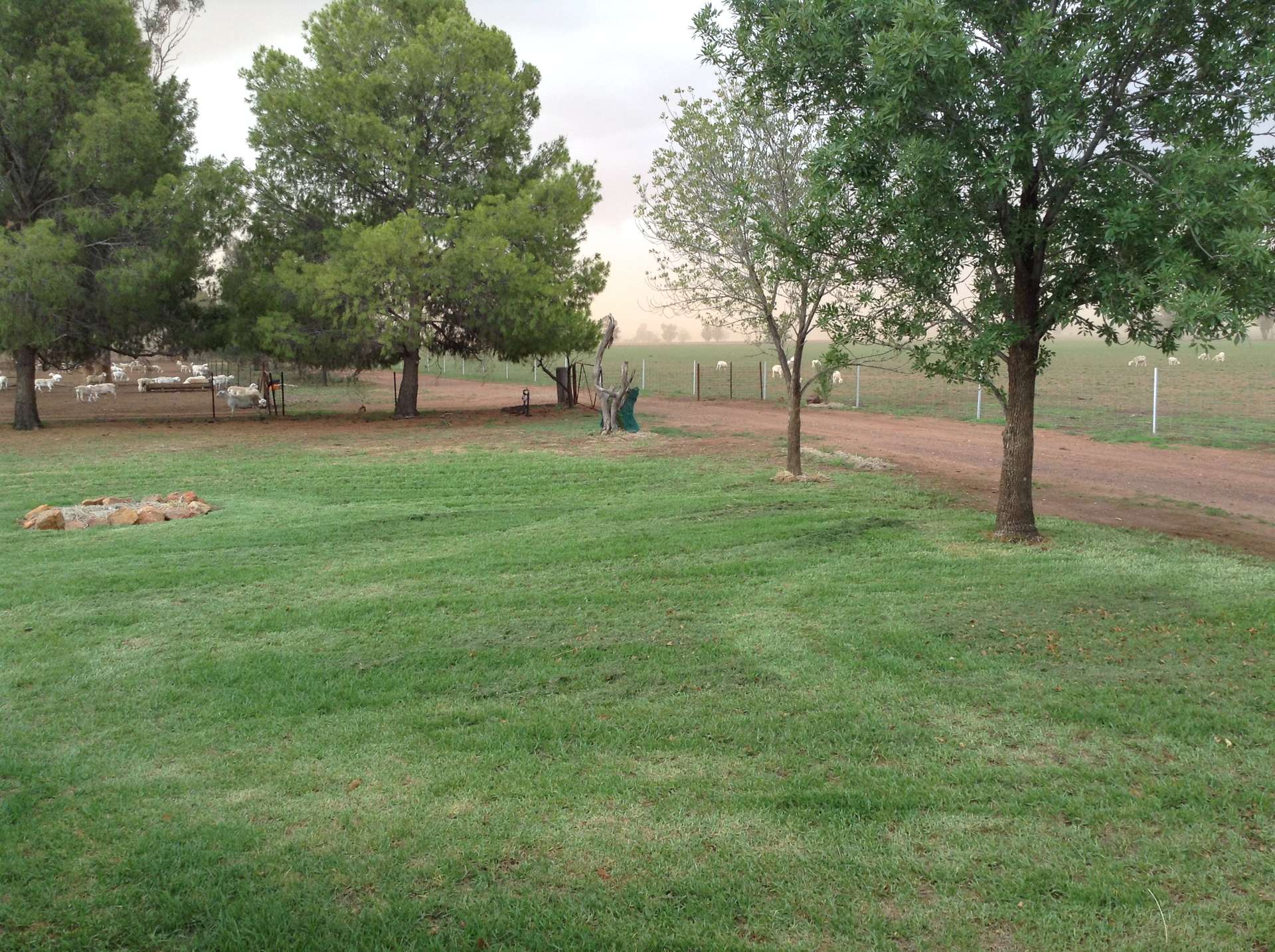 987 Boorr Hill Road, Parkes For Sale by Farmbuy.com - image 29