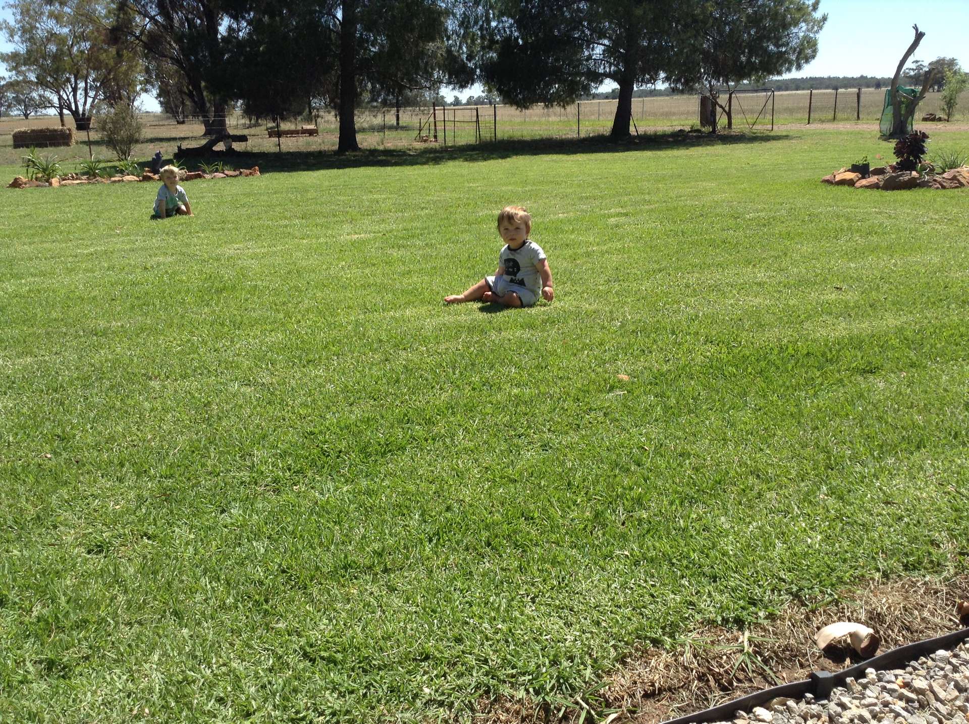 987 Boorr Hill Road, Parkes For Sale by Farmbuy.com - image 33