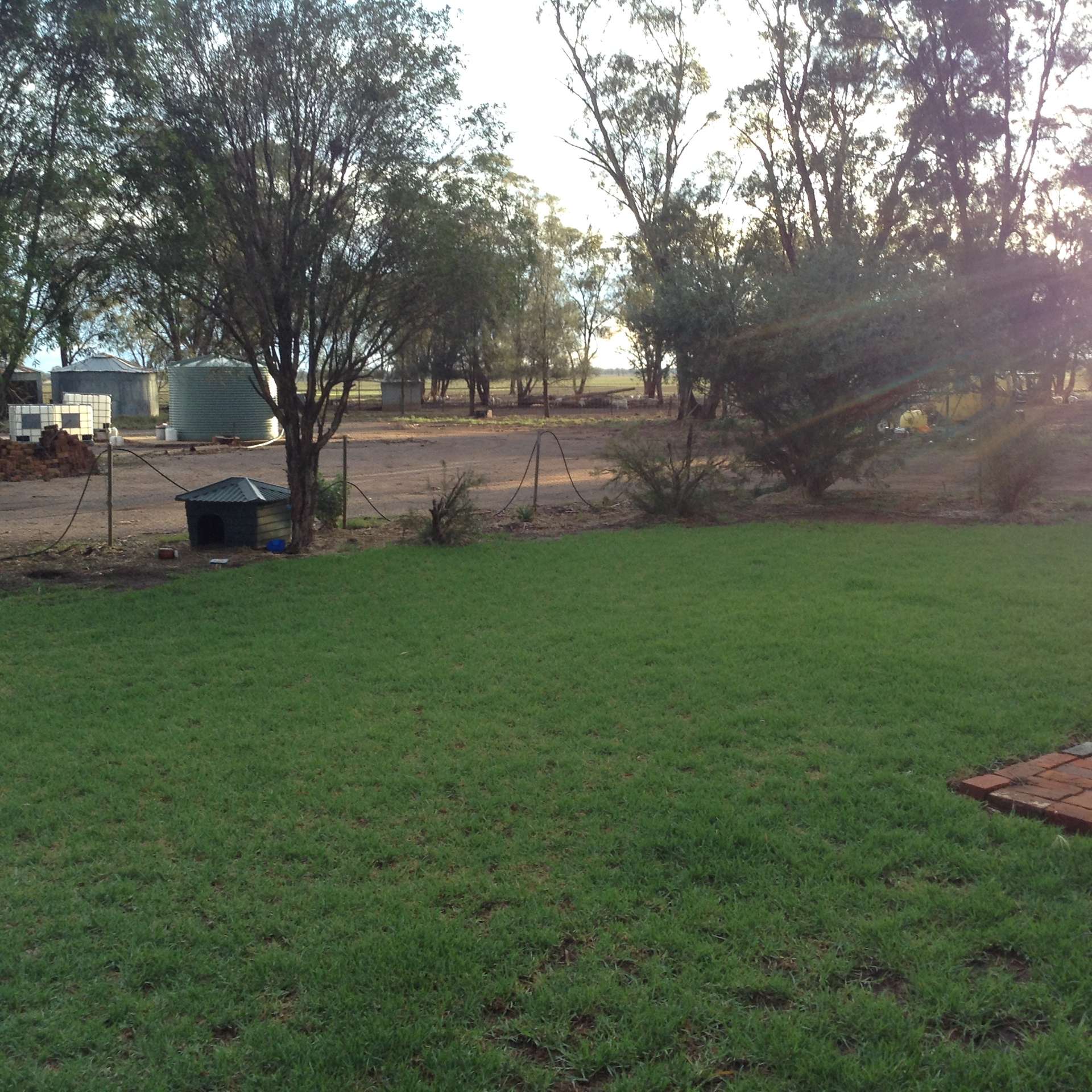 987 Boorr Hill Road, Parkes For Sale by Farmbuy.com - image 35
