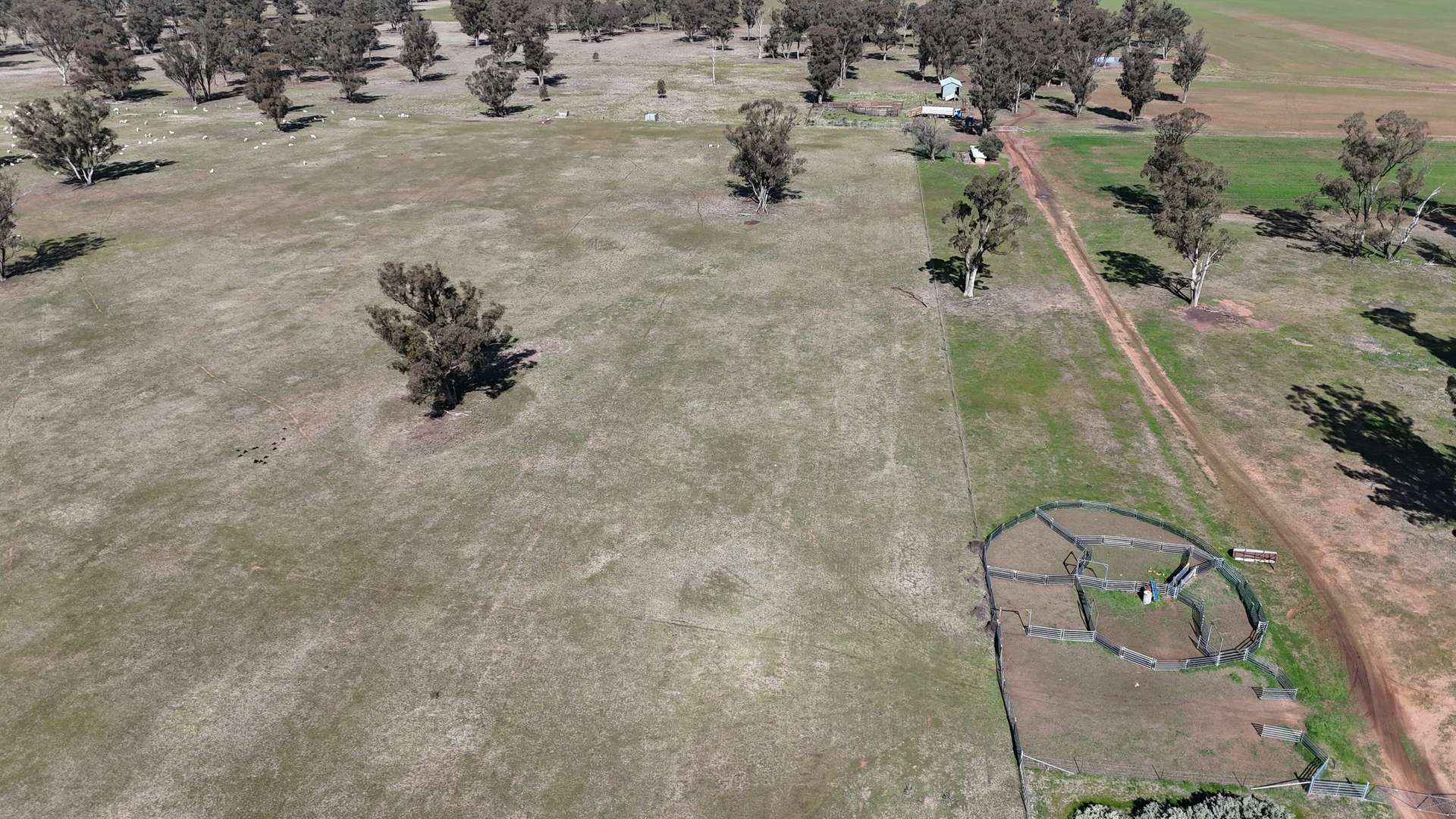 987 Boorr Hill Road, Parkes For Sale by Farmbuy.com - image 14