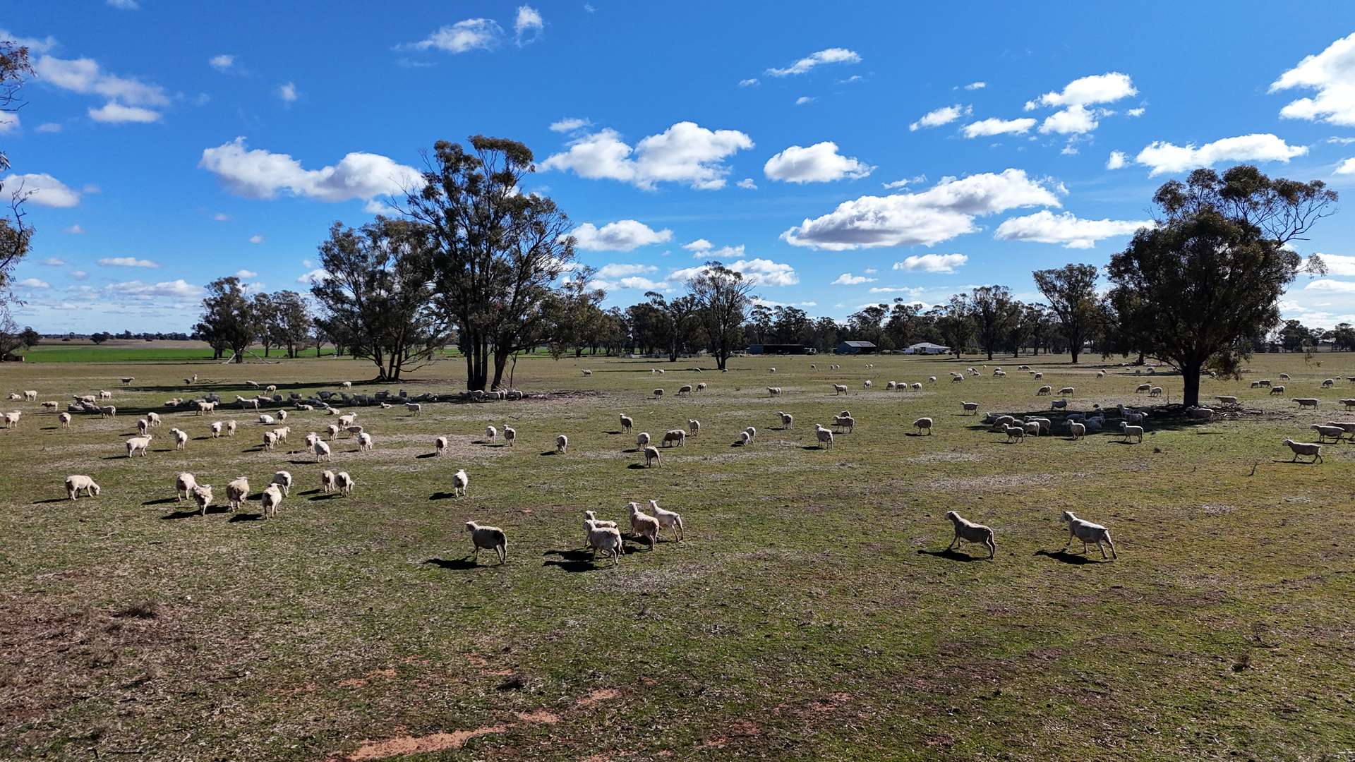 987 Boorr Hill Road, Parkes For Sale by Farmbuy.com - image 25