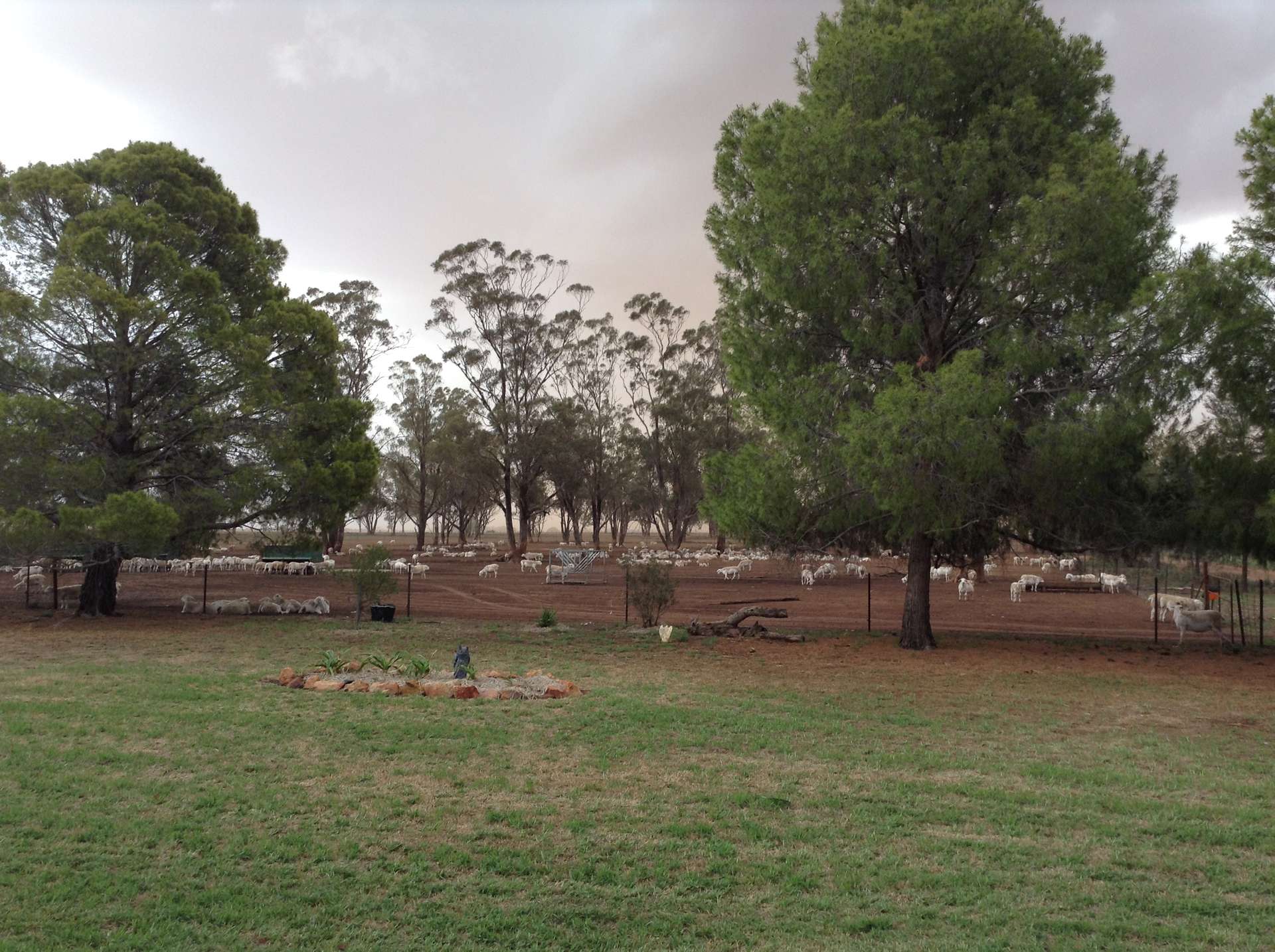 987 Boorr Hill Road, Parkes For Sale by Farmbuy.com - image 29