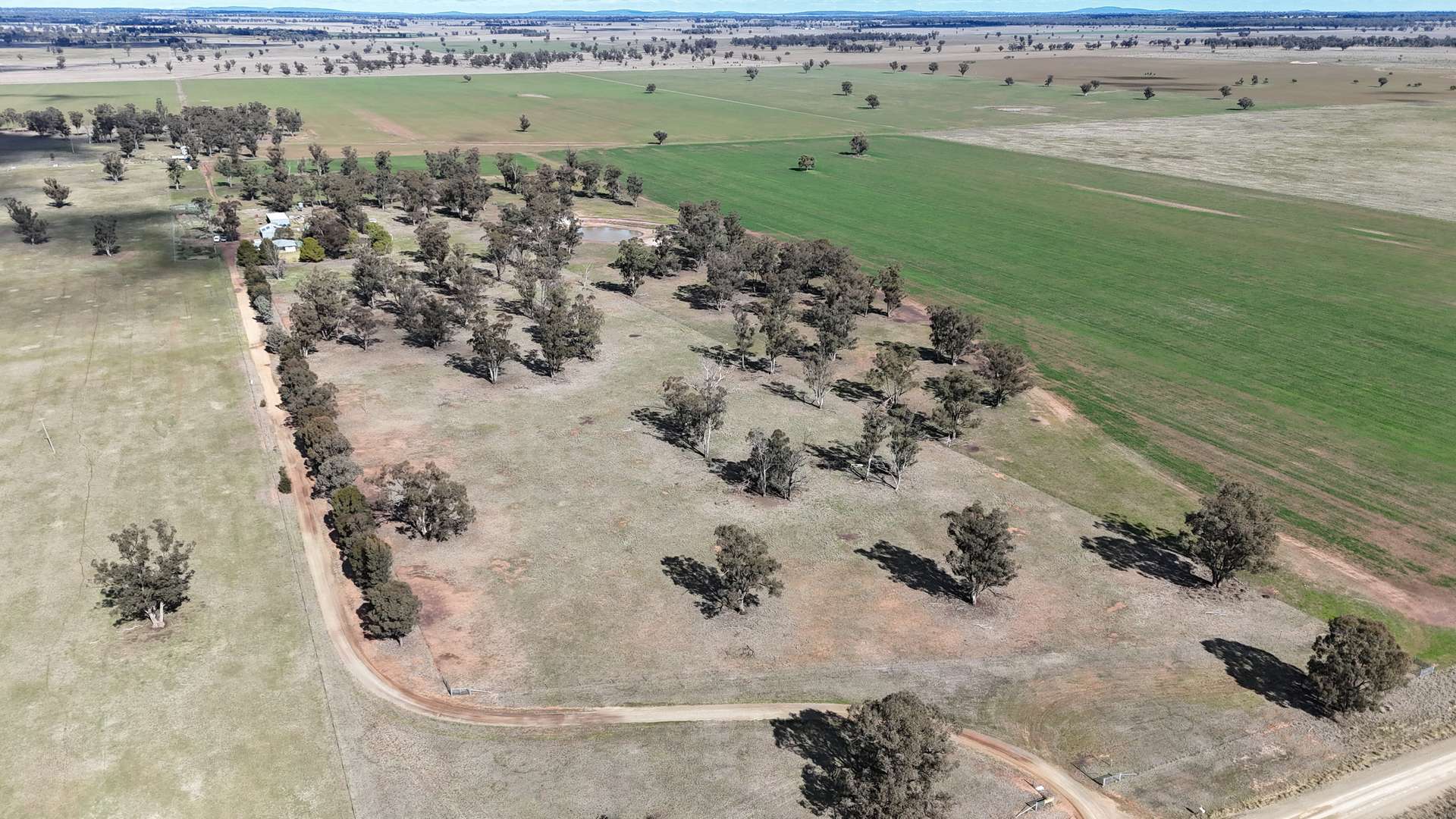 987 Boorr Hill Road, Parkes For Sale by Farmbuy.com - image 9