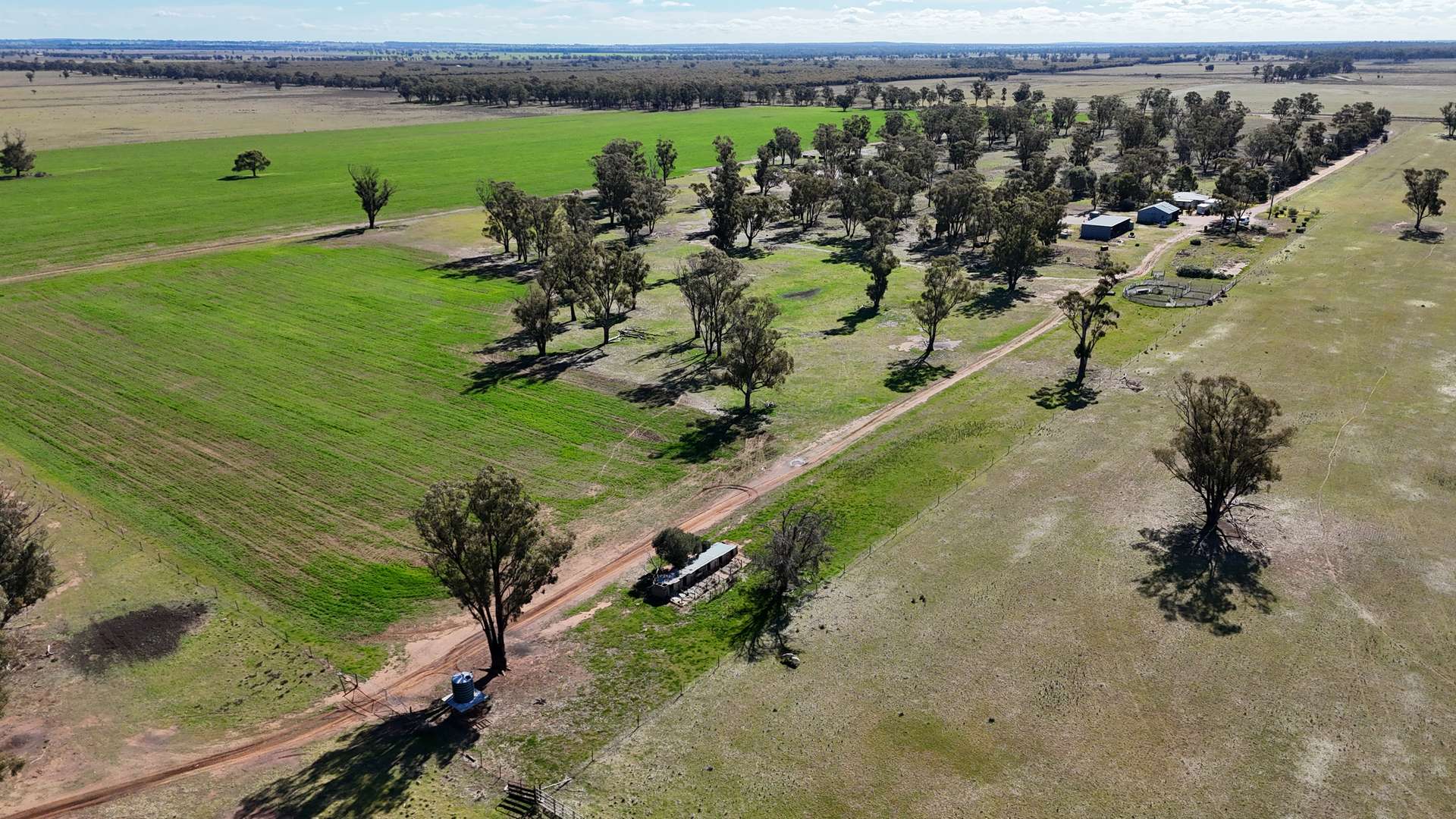 987 Boorr Hill Road, Parkes For Sale by Farmbuy.com - image 23