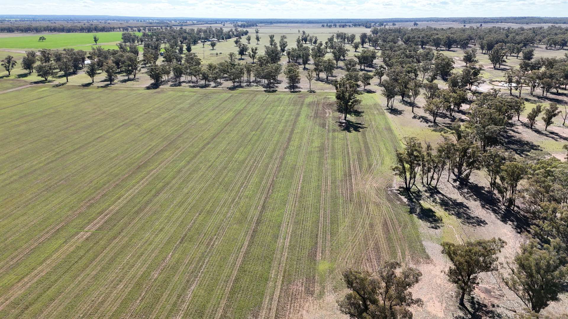 987 Boorr Hill Road, Parkes For Sale by Farmbuy.com - image 33