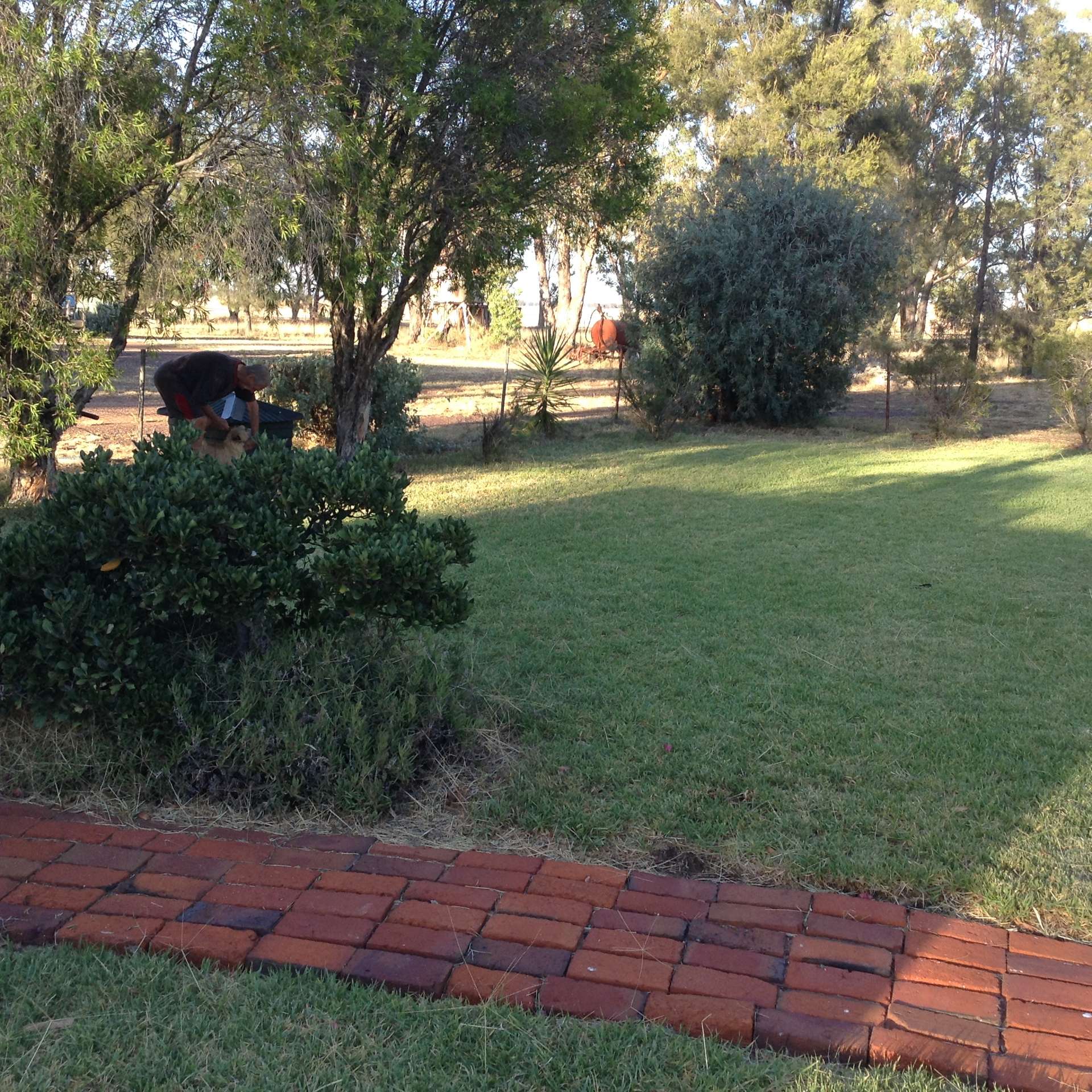 987 Boorr Hill Road, Parkes For Sale by Farmbuy.com - image 32