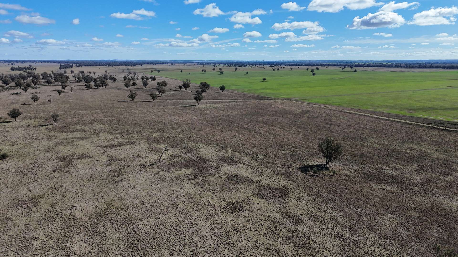 987 Boorr Hill Road, Parkes For Sale by Farmbuy.com - image 32