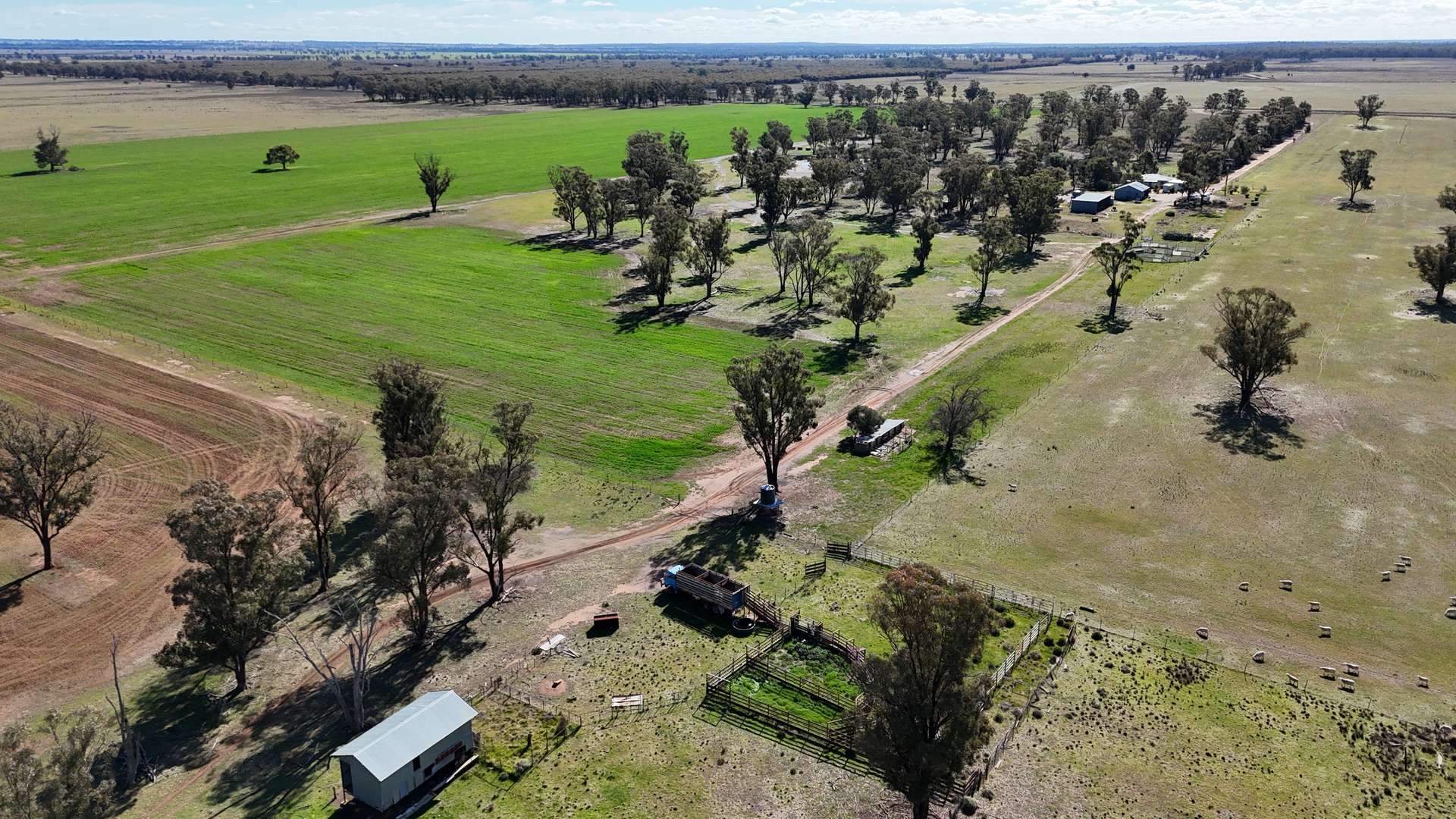 987 Boorr Hill Road, Parkes For Sale by Farmbuy.com - image 5