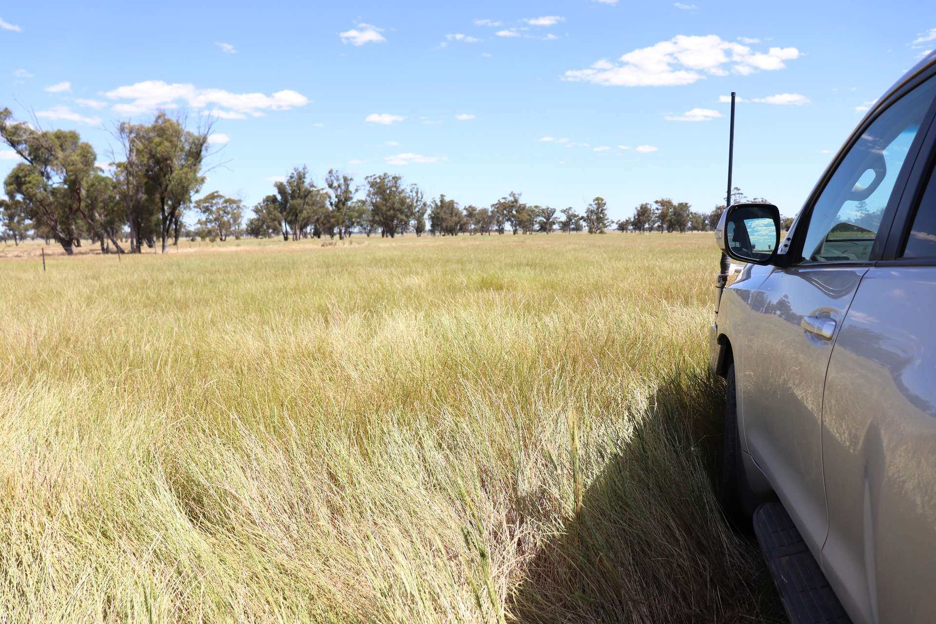 987 Boorr Hill Road, Parkes For Sale by Farmbuy.com - image 2