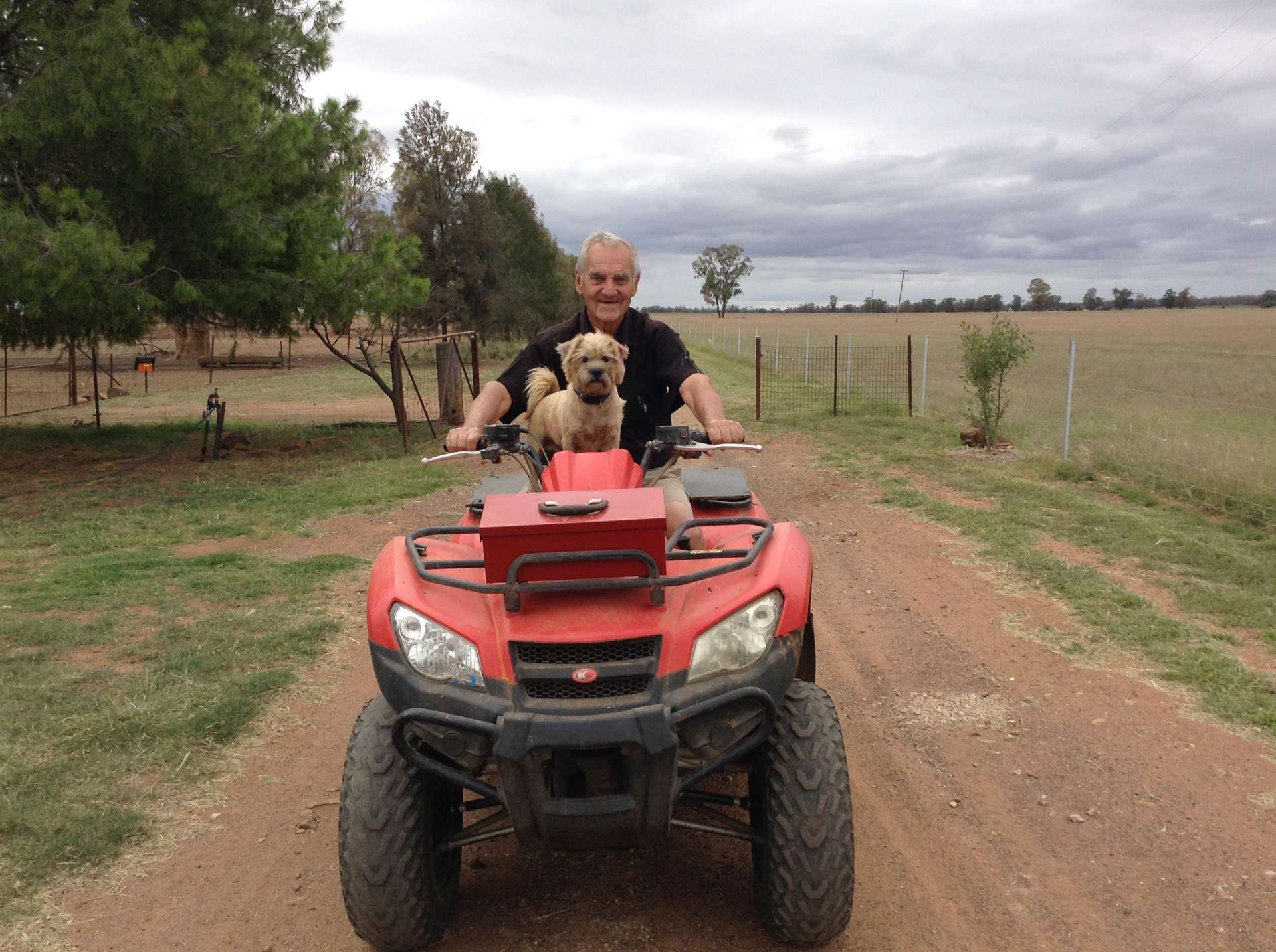 987 Boorr Hill Road, Parkes For Sale by Farmbuy.com - image 19