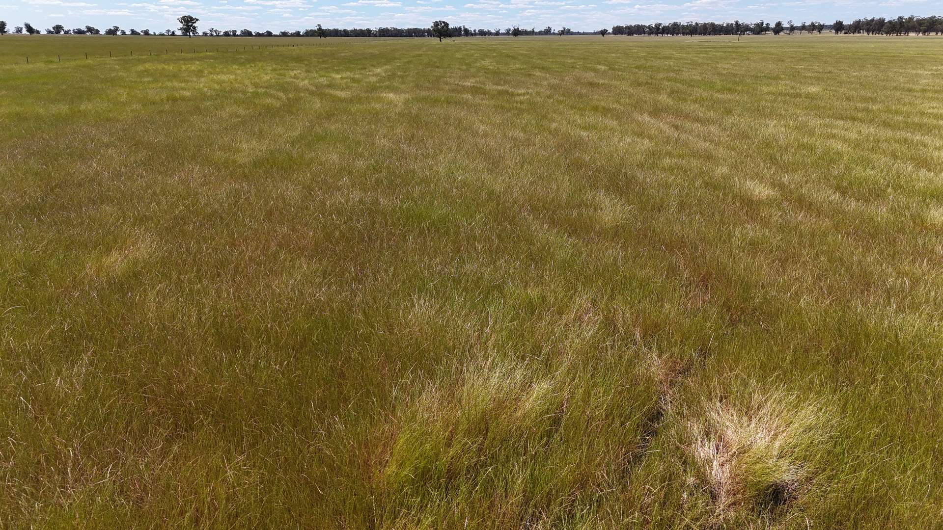 987 Boorr Hill Road, Parkes For Sale by Farmbuy.com - image 6