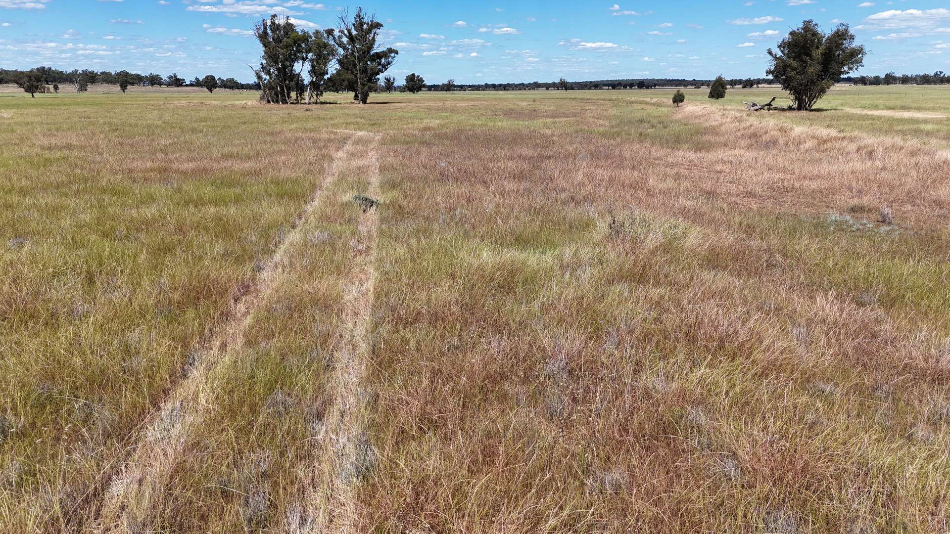987 Boorr Hill Road, Parkes For Sale by Farmbuy.com - image 5