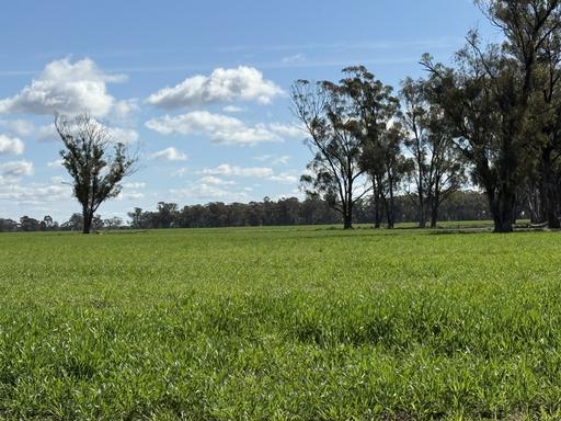 987 Boorr Hill Road, Parkes NSW 2870