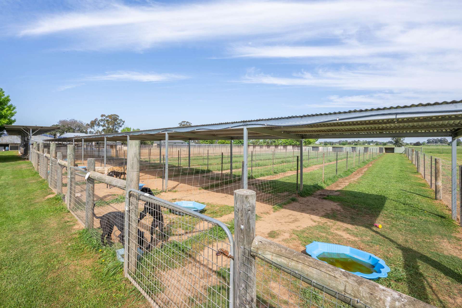 285 Hosie Road, Shepparton East For Sale by Farmbuy.com - image 5