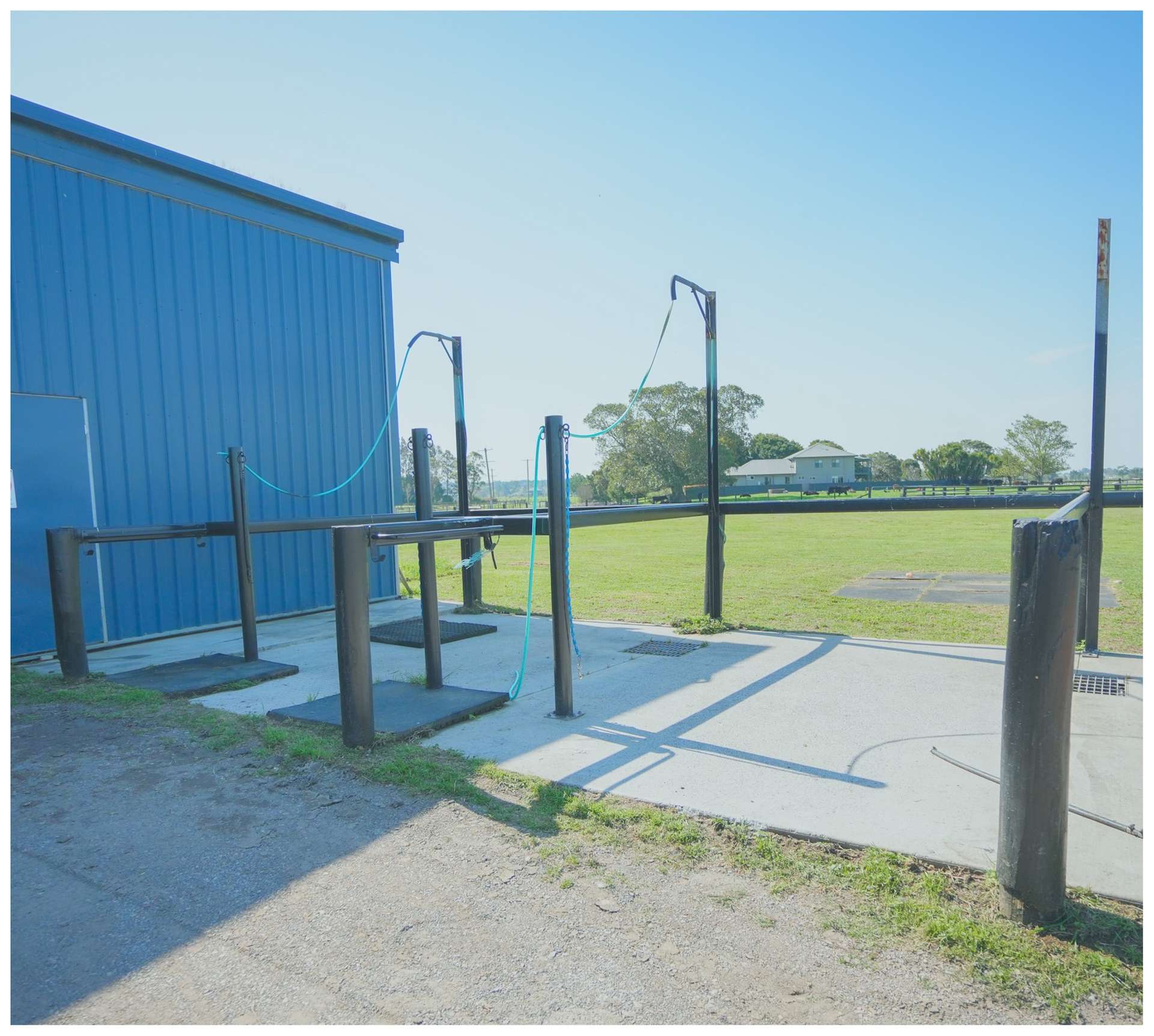 240 SCOTCH CREEK ROAD, Millers Forest For Sale by Farmbuy.com - image 10