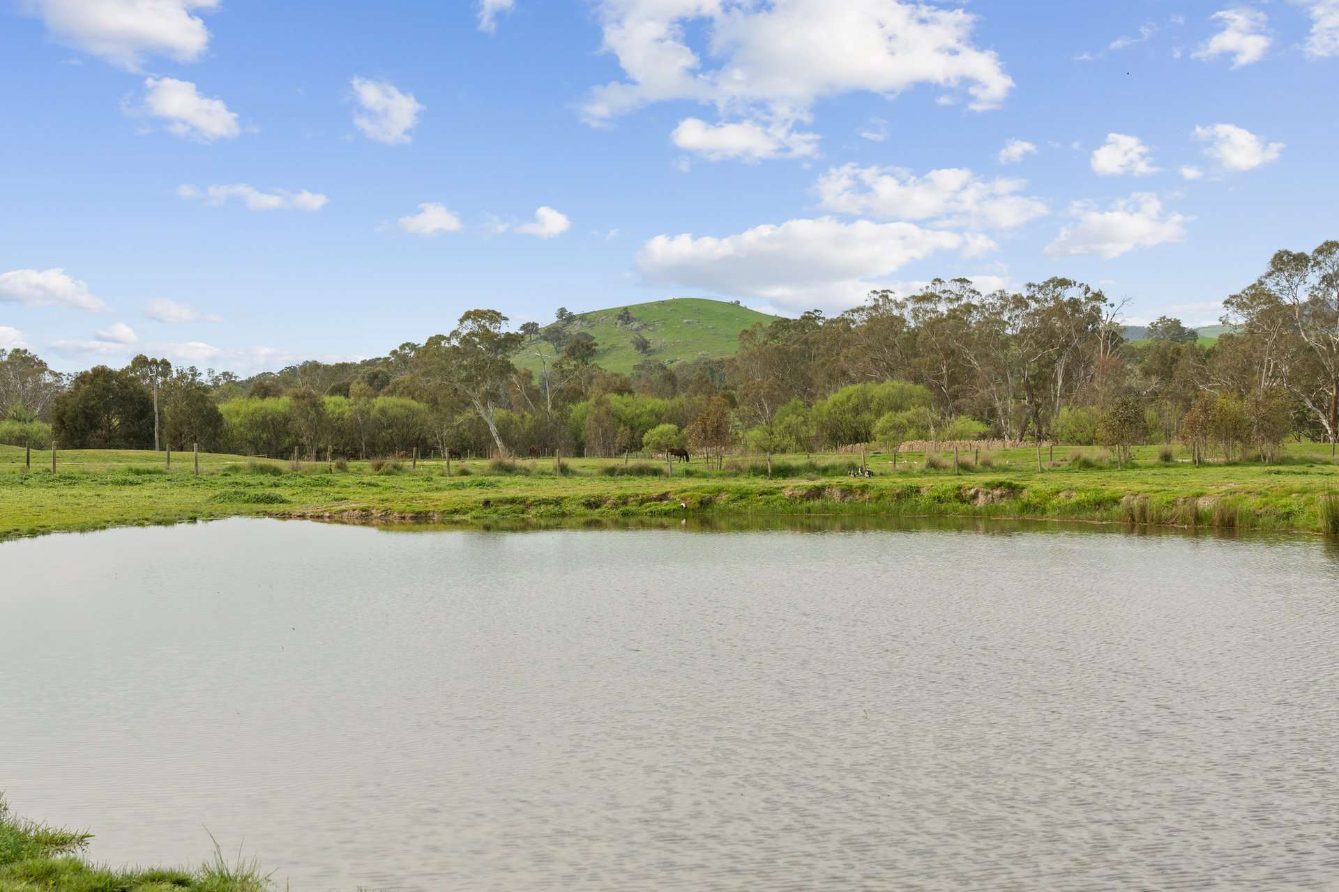 93 Church Lane, Gooram Via, Euroa For Sale by Farmbuy.com - image 13