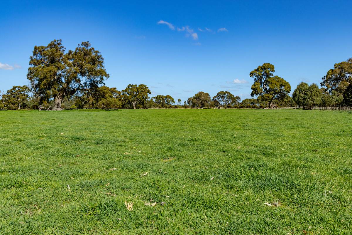 102 Hillman Road, Middle Creek For Sale by Farmbuy.com - image 10