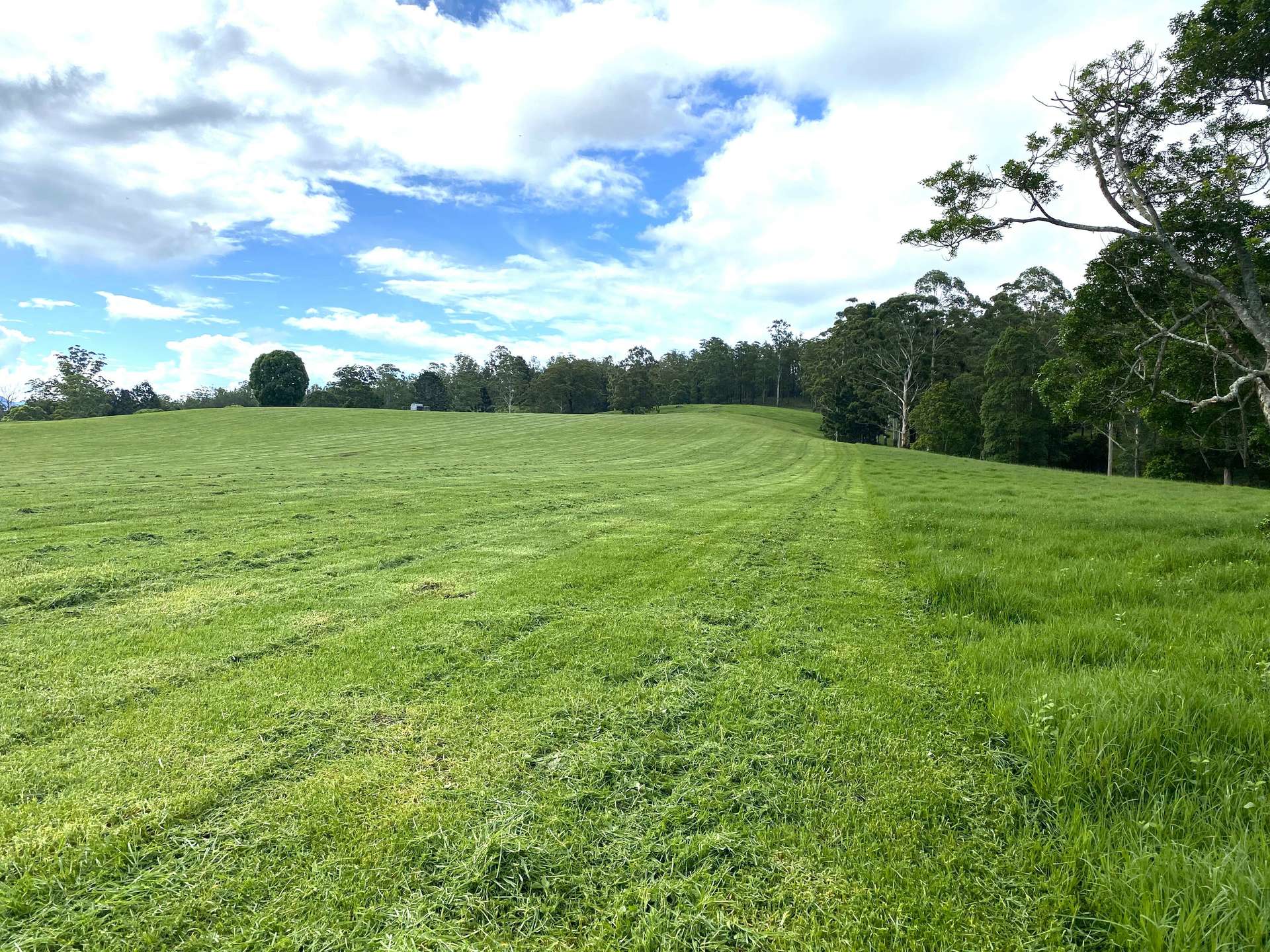 14072 Mount Lindesay Hwy, Woodenbong Sold by Farmbuy.com - image 11