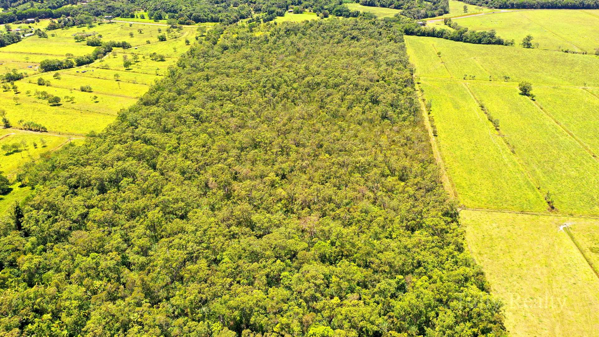 Lot 33 East Feluga Road, East Feluga Sold by Farmbuy.com - image 6
