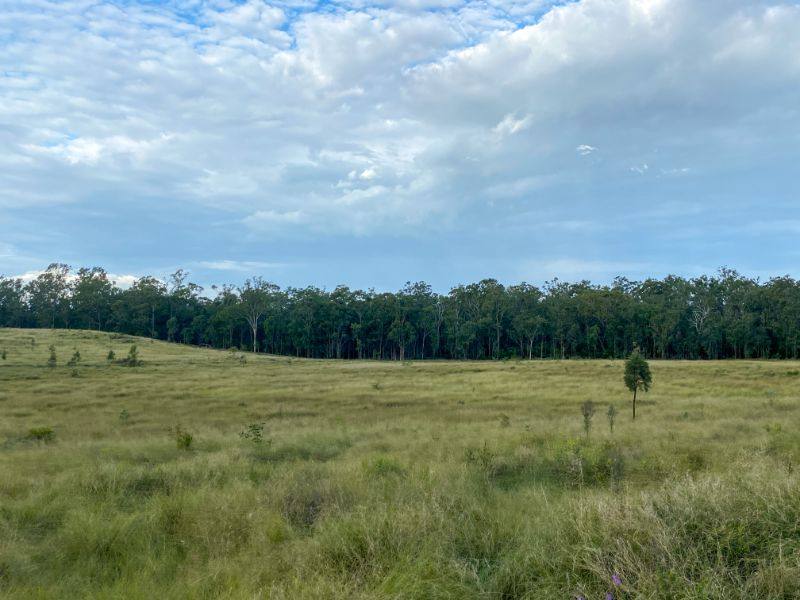 225 BEILS ROAD, Kingaroy For Sale by Farmbuy.com - image 14