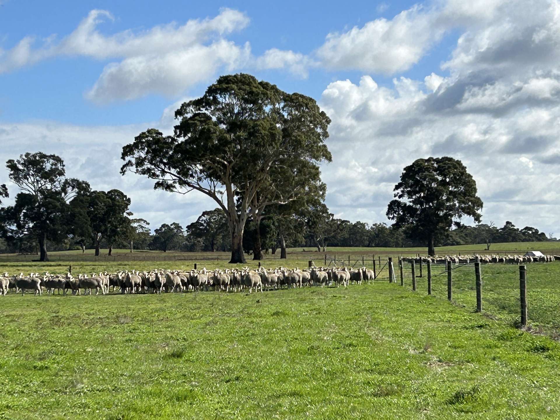 71 Joys Road, Binnum For Sale by Farmbuy.com - image 4