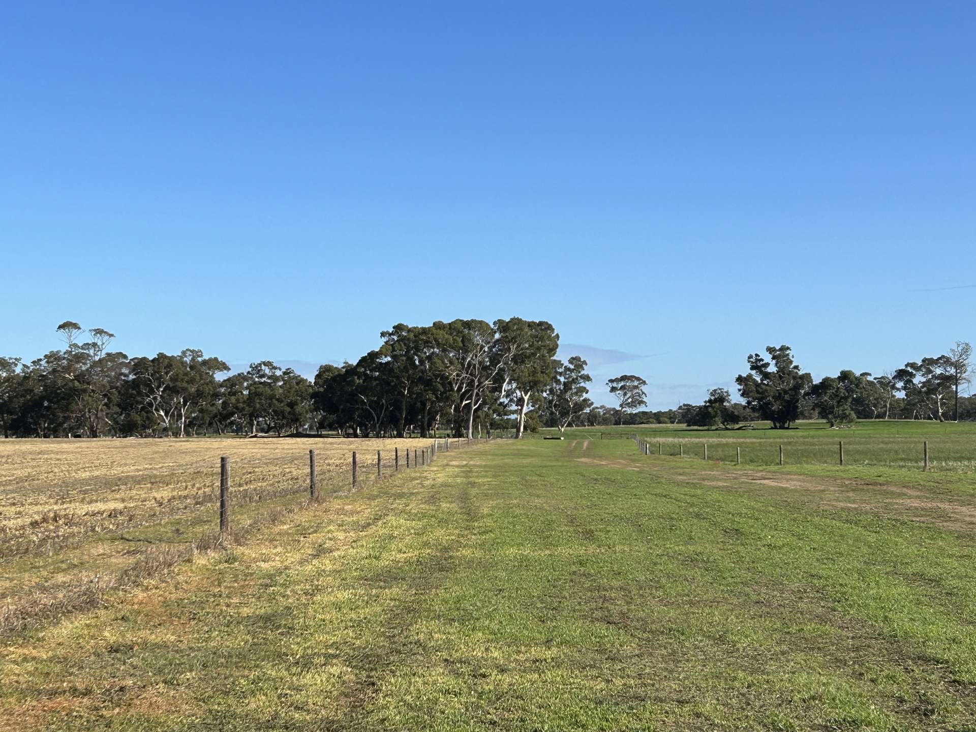 71 Joys Road, Binnum For Sale by Farmbuy.com - image 17