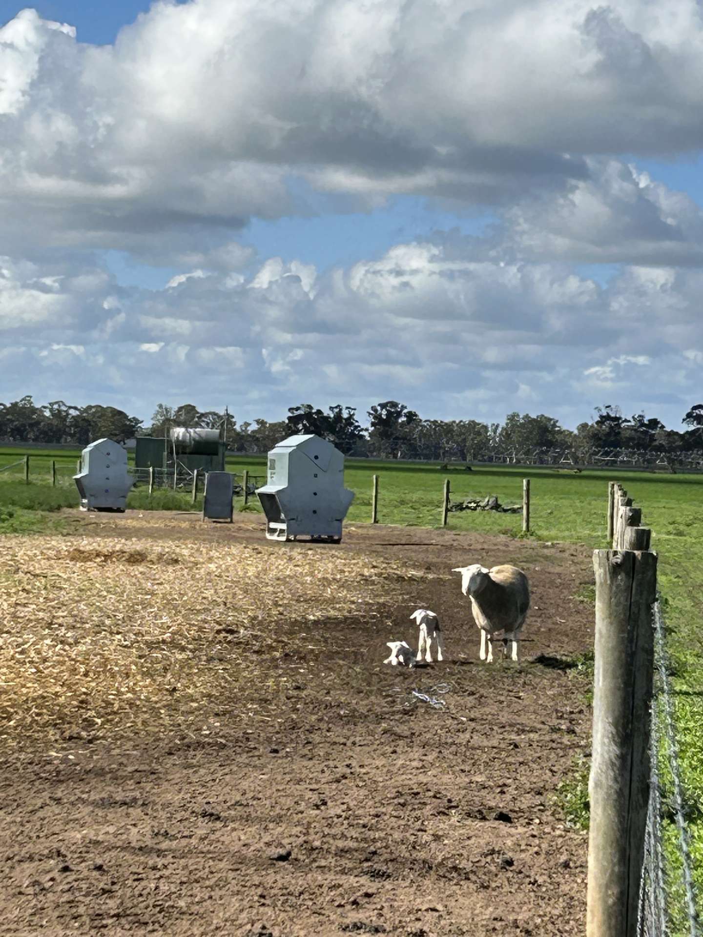 71 Joys Road, Binnum For Sale by Farmbuy.com - image 16