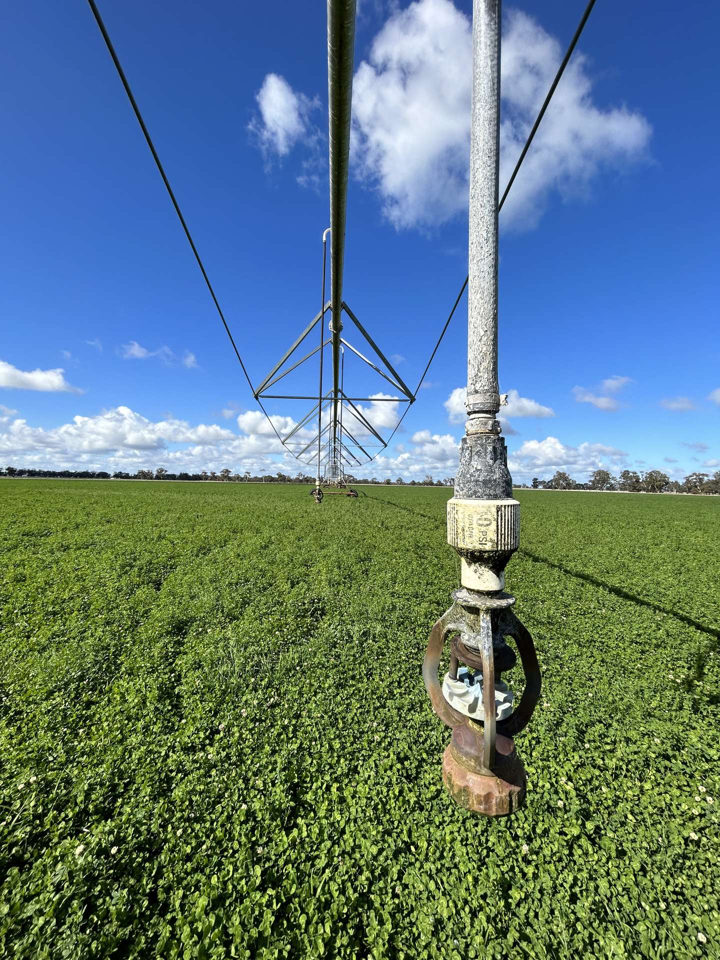 71 Joys Road, Binnum For Sale by Farmbuy.com - image 10