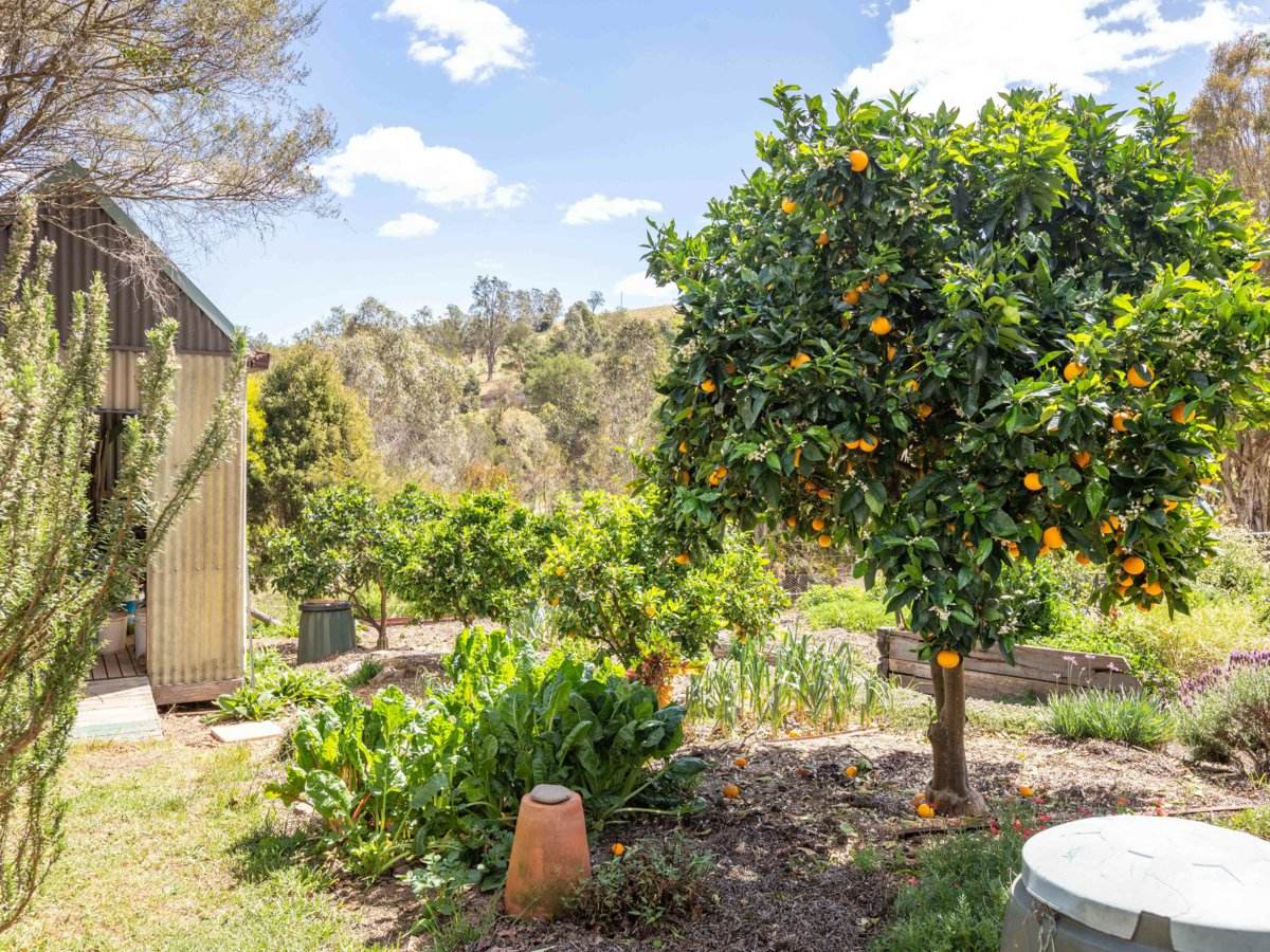179 Hawks Head Road, Brogo Sold by Farmbuy.com - image 9
