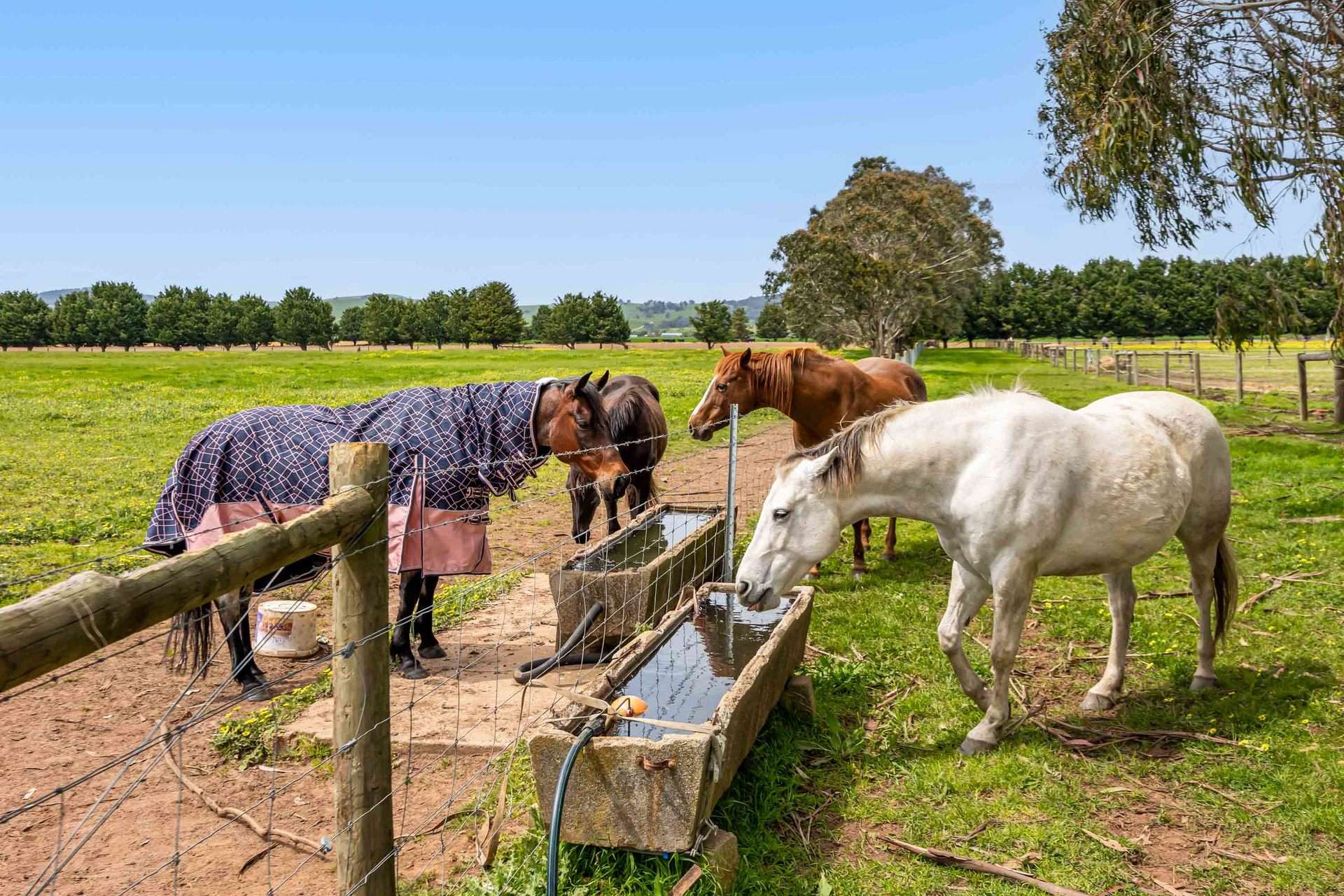 17 Camerons Lane, Waubra For Sale by Farmbuy.com - image 22