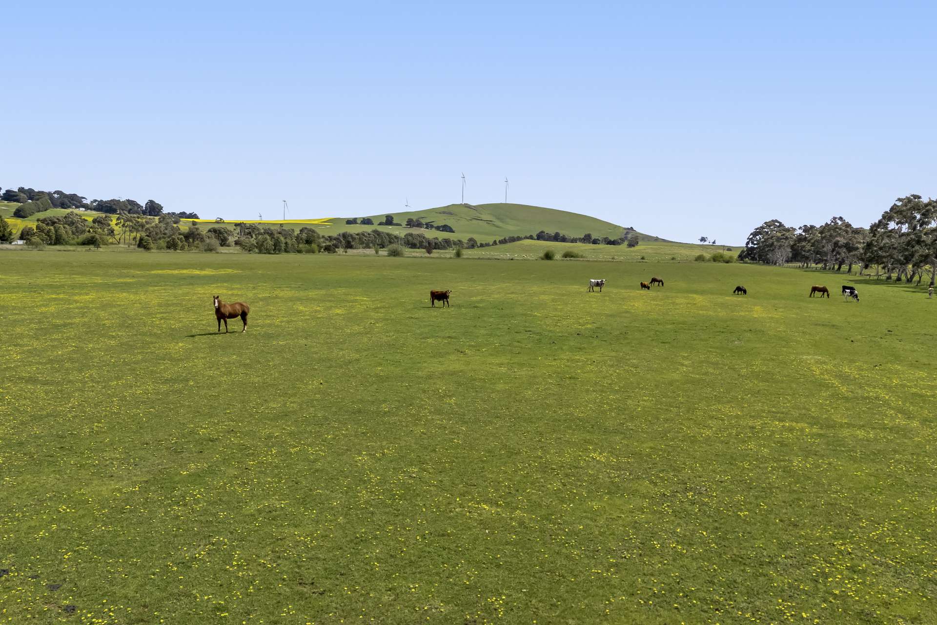 17 Camerons Lane, Waubra For Sale by Farmbuy.com - image 34