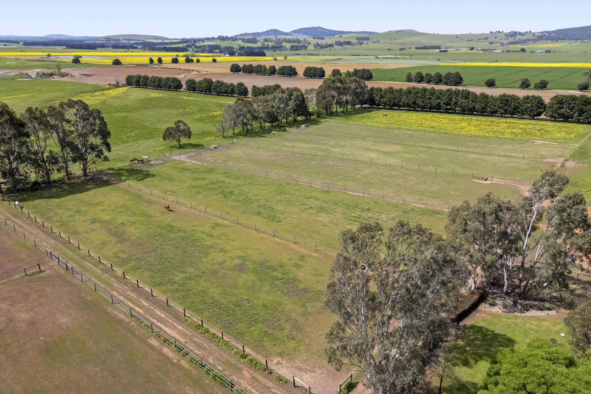 17 Camerons Lane, Waubra For Sale by Farmbuy.com - image 10