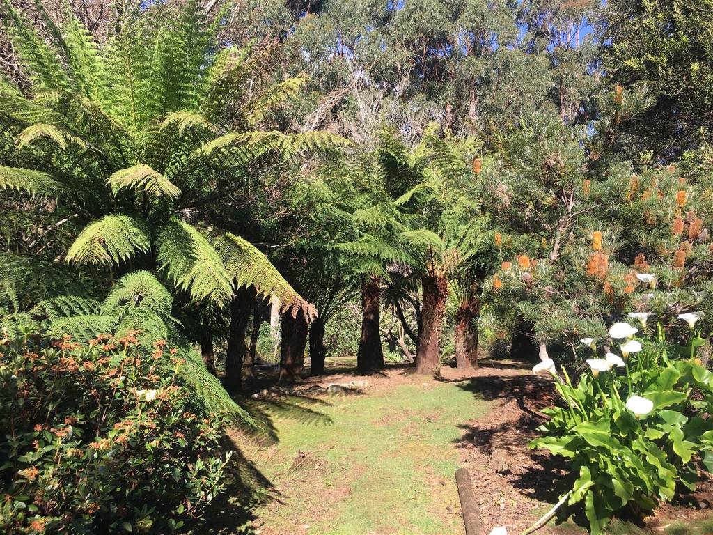 198 White Hills Road, Penguin TAS 7316