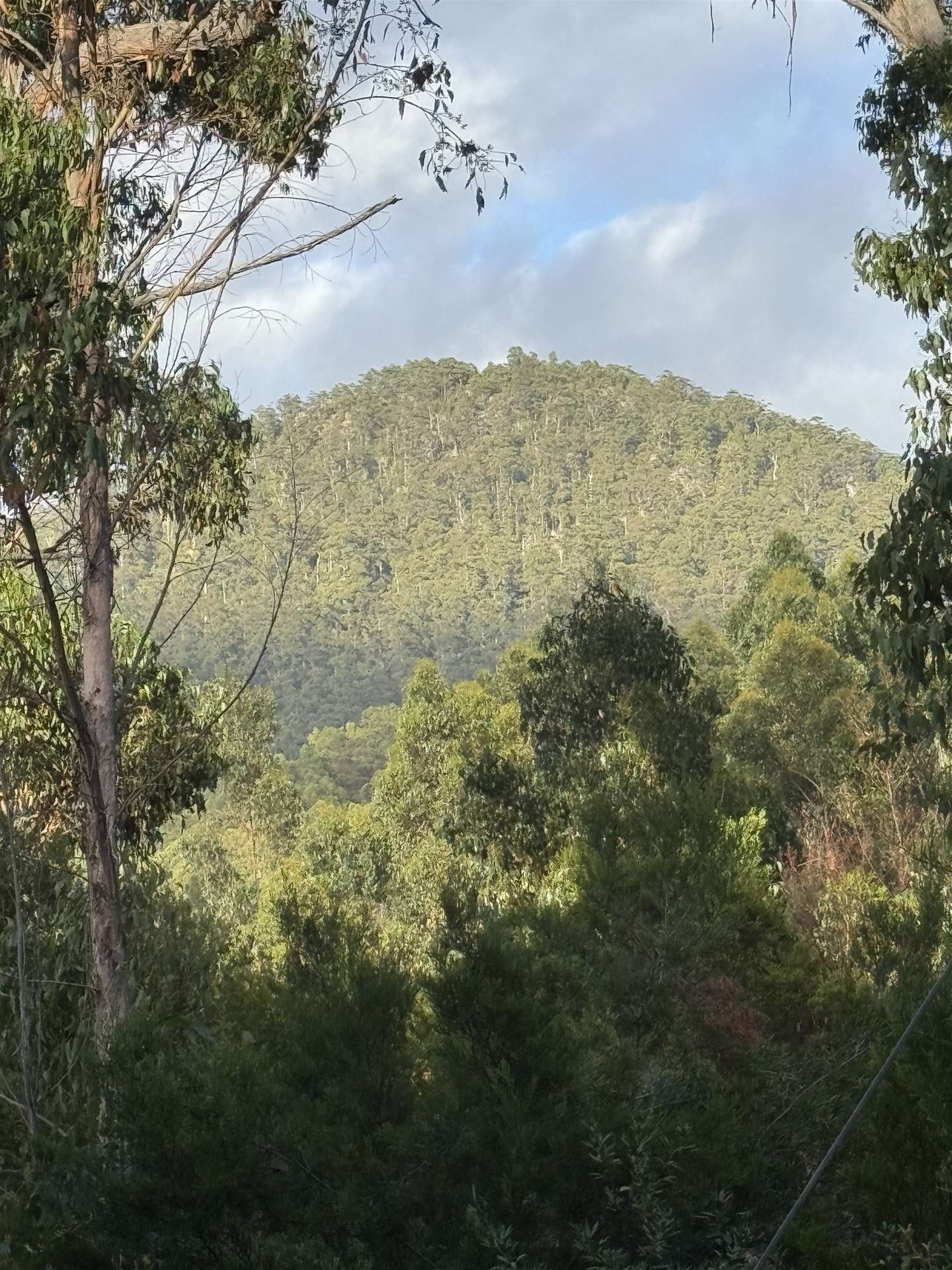 198 White Hills Road, Penguin For Sale by Farmbuy.com - image 5