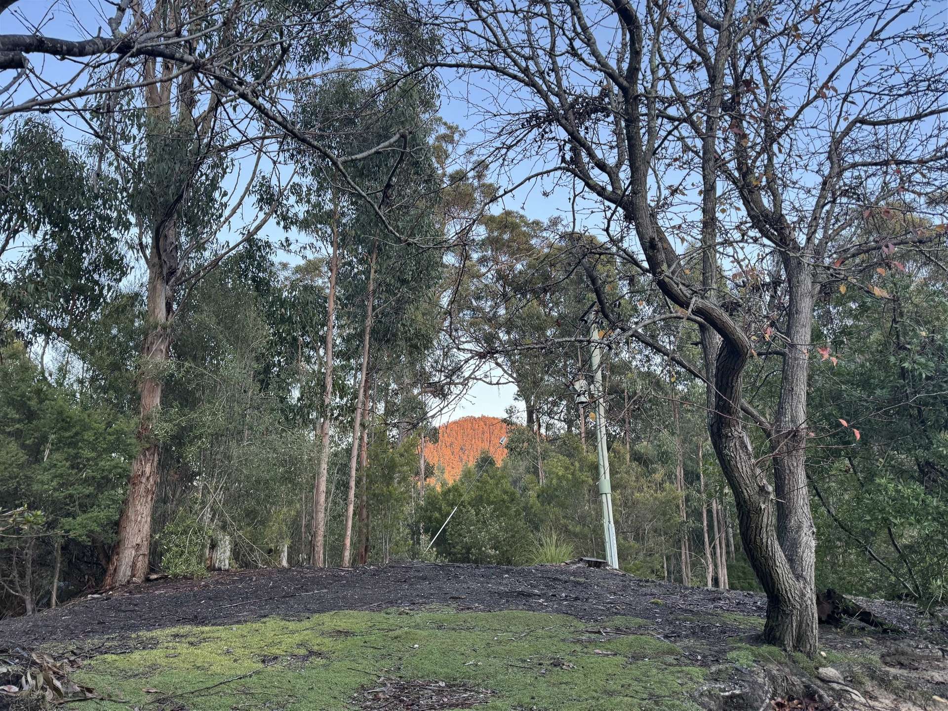 198 White Hills Road, Penguin For Sale by Farmbuy.com - image 6