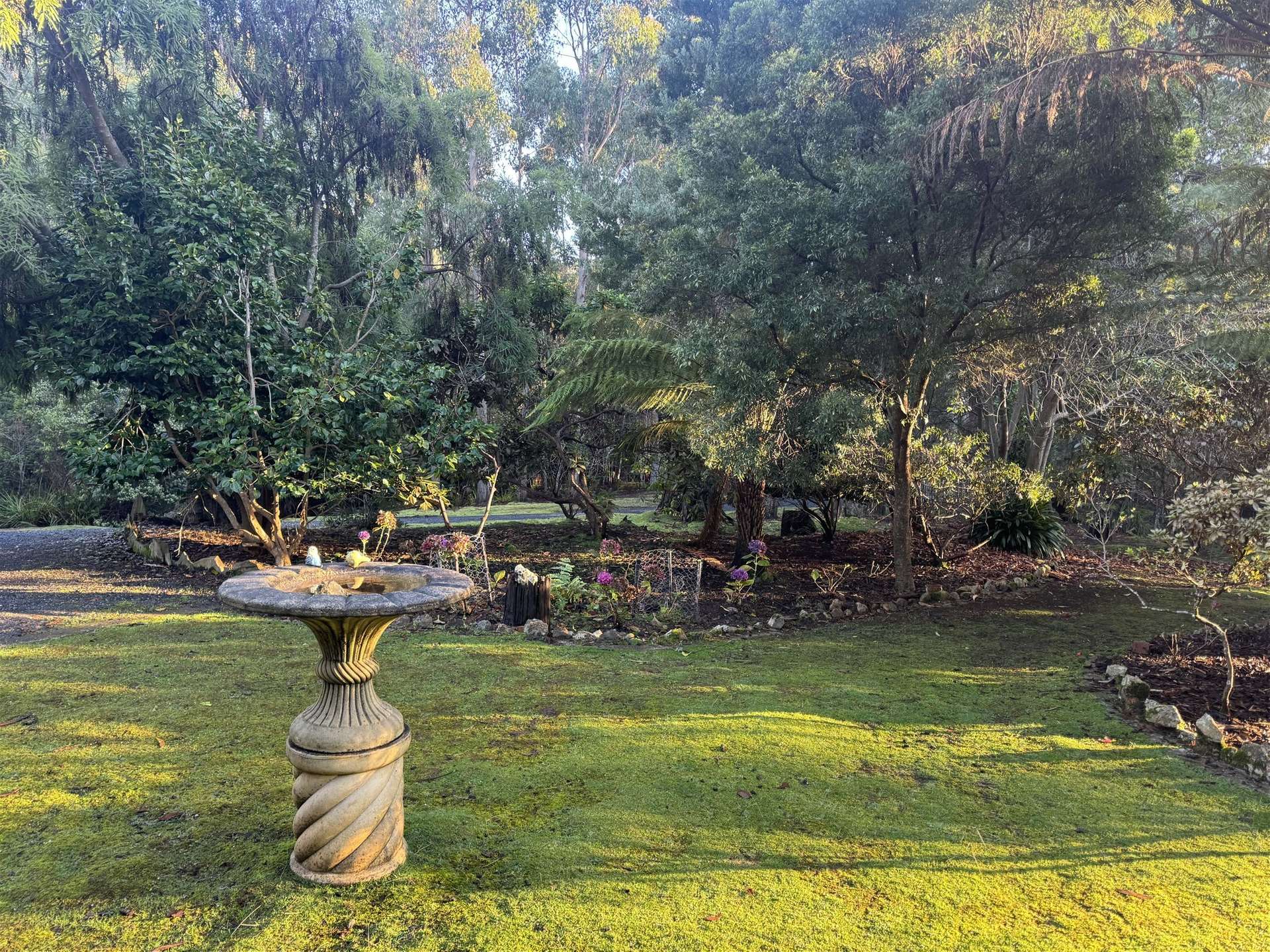 198 White Hills Road, Penguin For Sale by Farmbuy.com - image 9