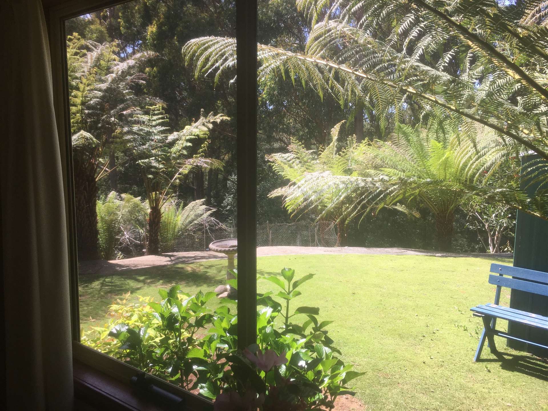 198 White Hills Road, Penguin For Sale by Farmbuy.com - image 20