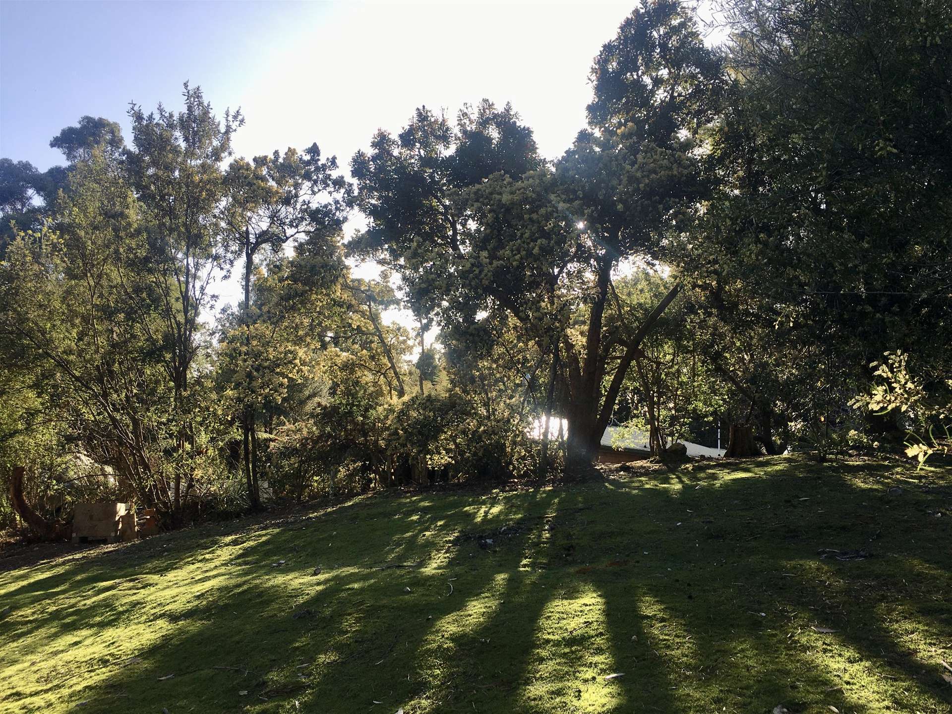 198 White Hills Road, Penguin For Sale by Farmbuy.com - image 24