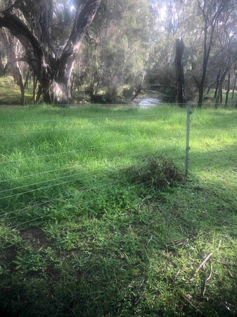 2035 Boorhaman Road, Peechelba East For Sale by Farmbuy.com - image 17