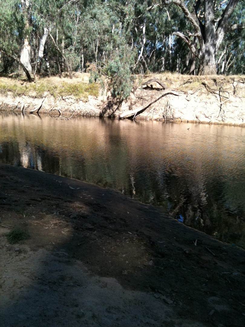 2035 Boorhaman Road, Peechelba East For Sale by Farmbuy.com - image 18