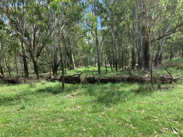 2035 Boorhaman Road, Peechelba East For Sale by Farmbuy.com - image 15