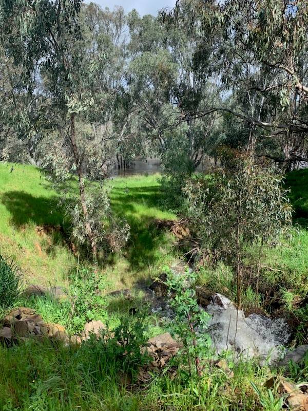 2035 Boorhaman Road, Peechelba East For Sale by Farmbuy.com - image 16