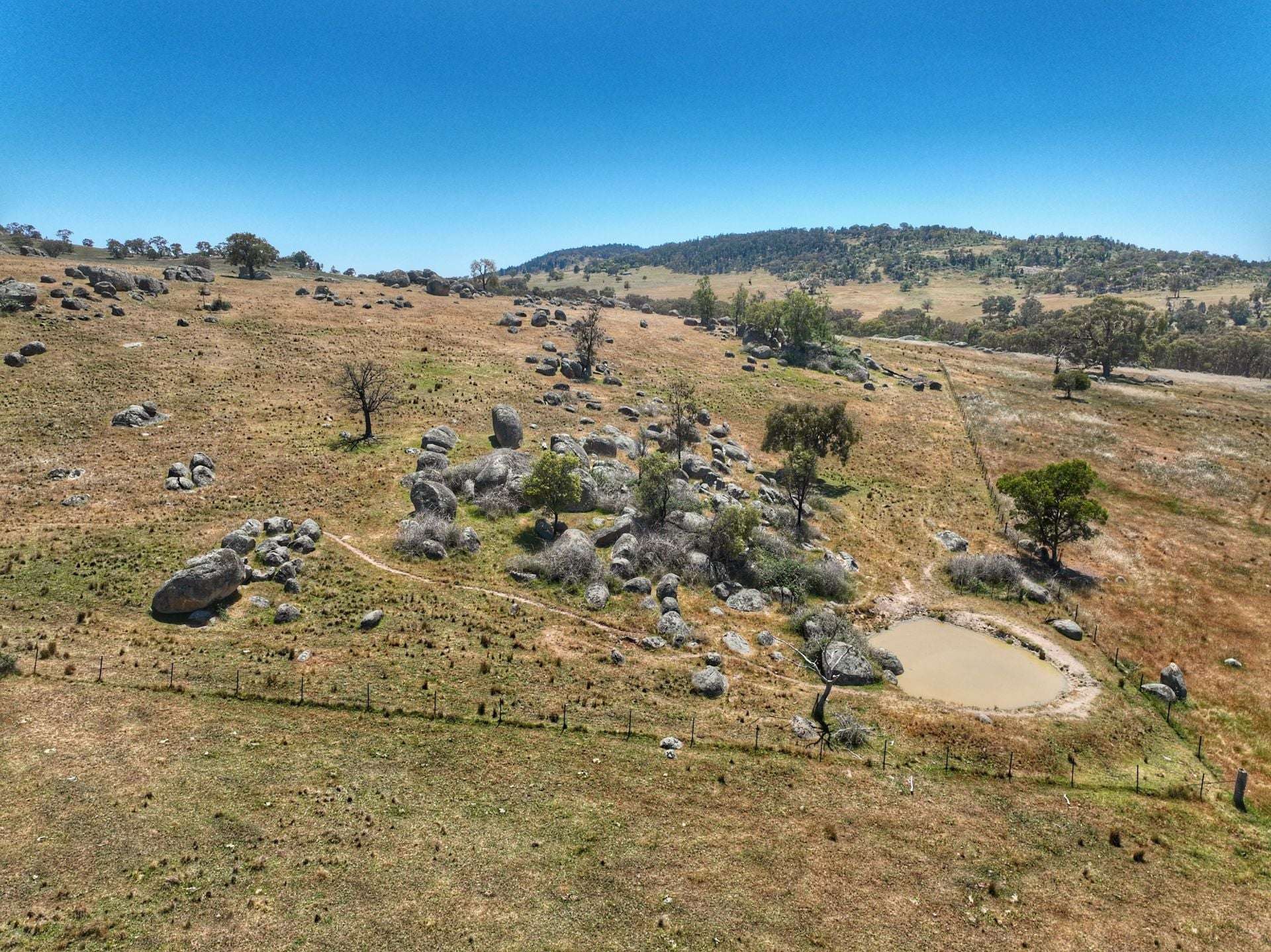 1432 Pine Mount Road, Darbys Falls Sold by Farmbuy.com - image 6