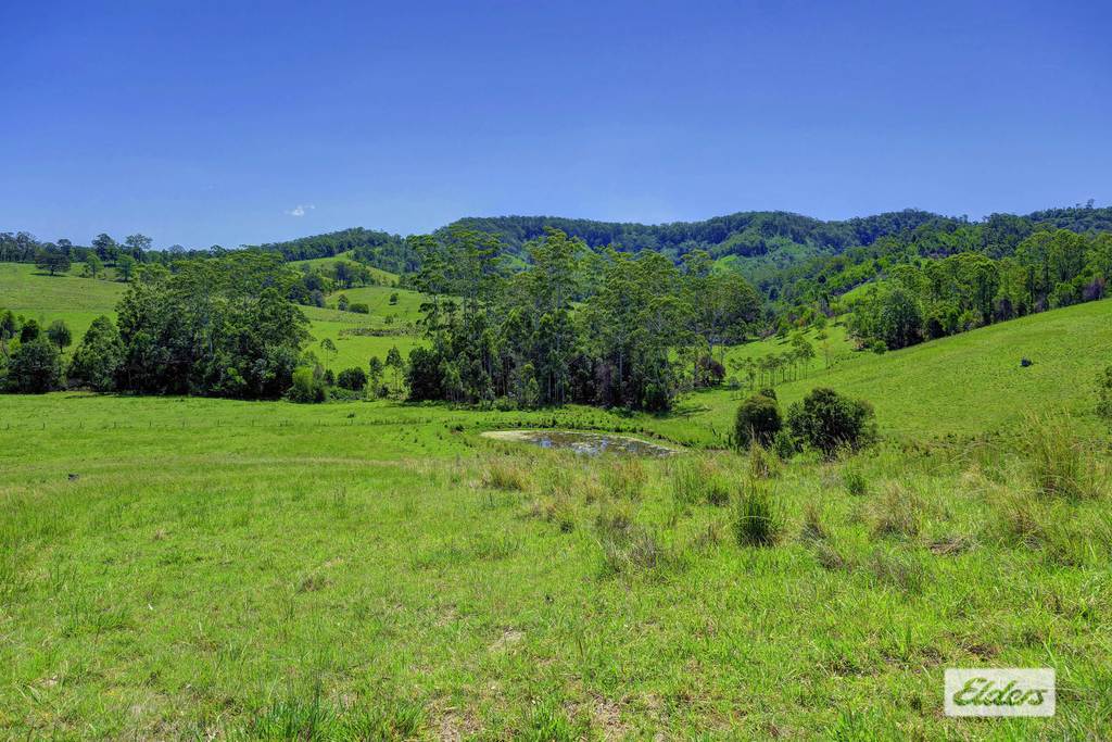 Kings Creek Road, Krambach NSW 2429