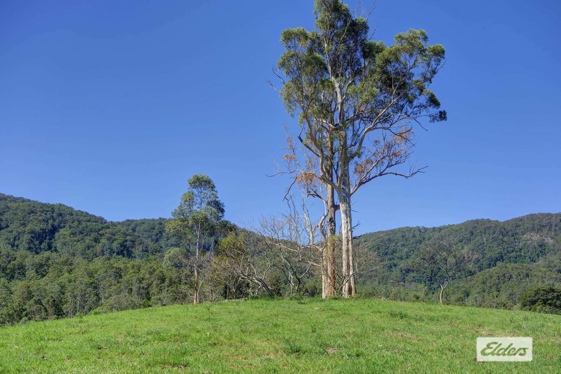 Kings Creek Road, Krambach For Sale by Farmbuy.com - image 24