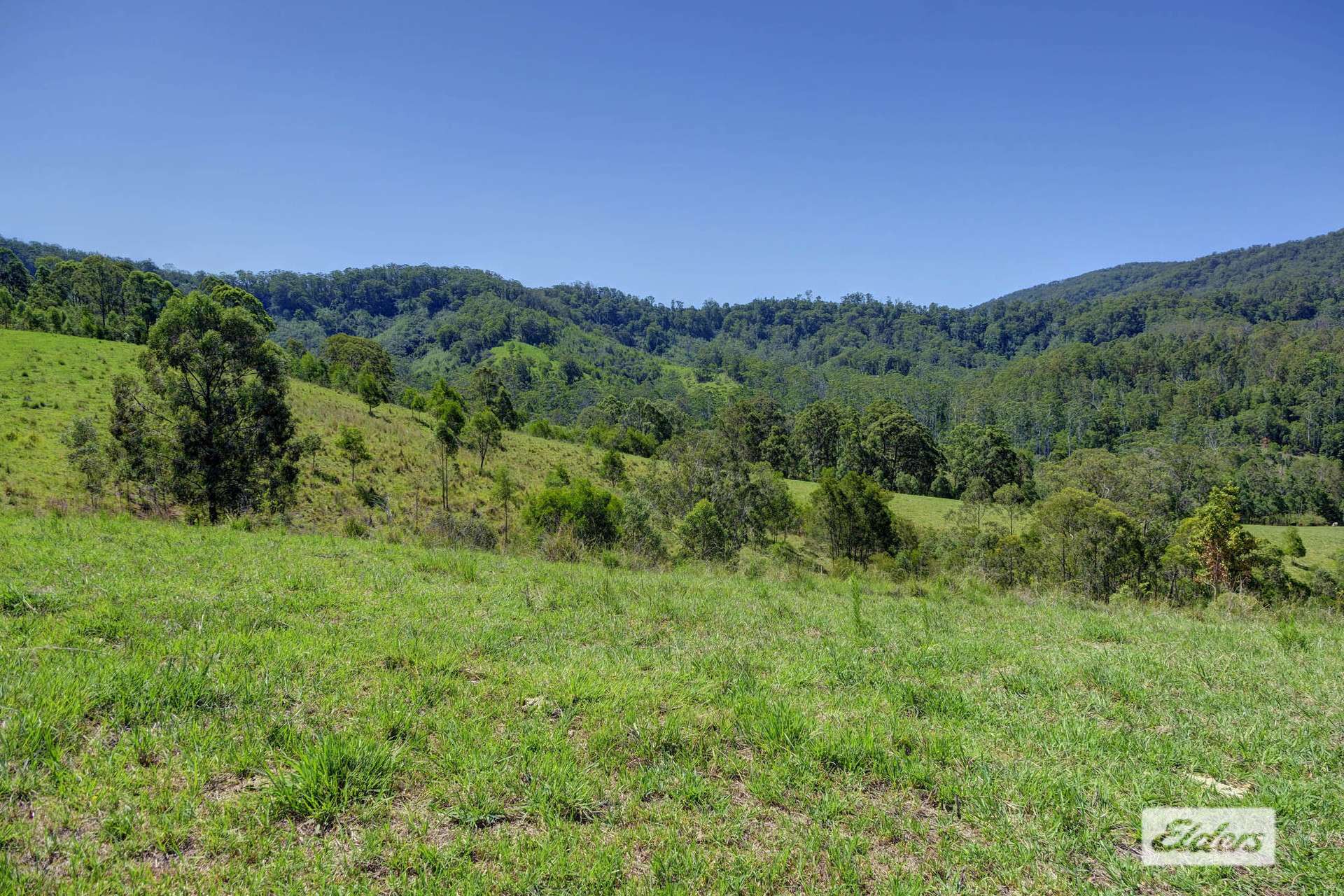 Kings Creek Road, Krambach For Sale by Farmbuy.com - image 17