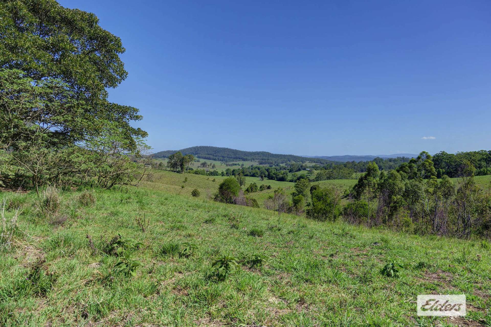 Kings Creek Road, Krambach For Sale by Farmbuy.com - image 25