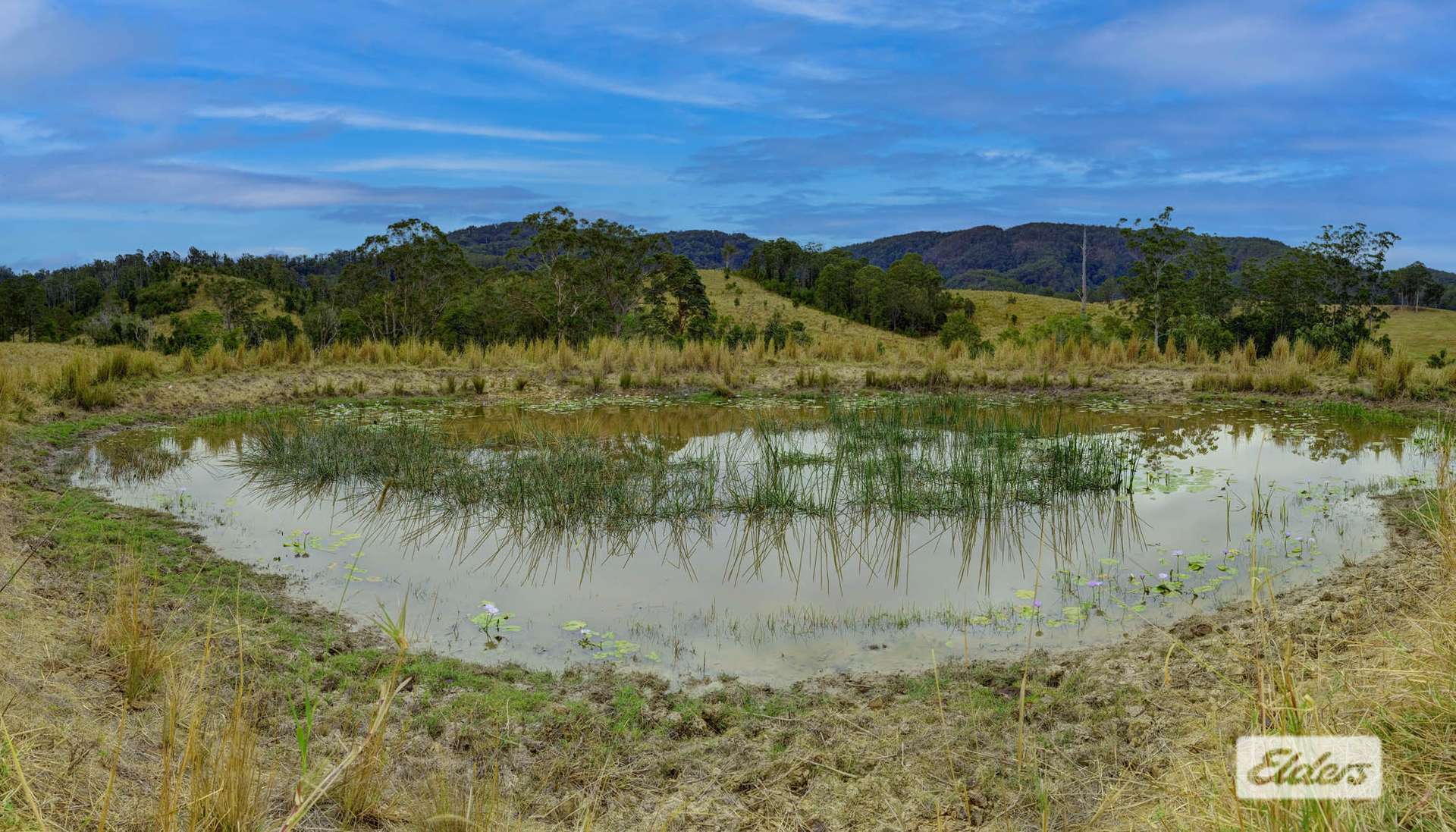 Kings Creek Road, Krambach For Sale by Farmbuy.com - image 9